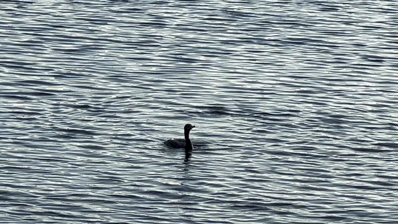 Emerald Estates Park - Parks Near Me - Weston, Florida