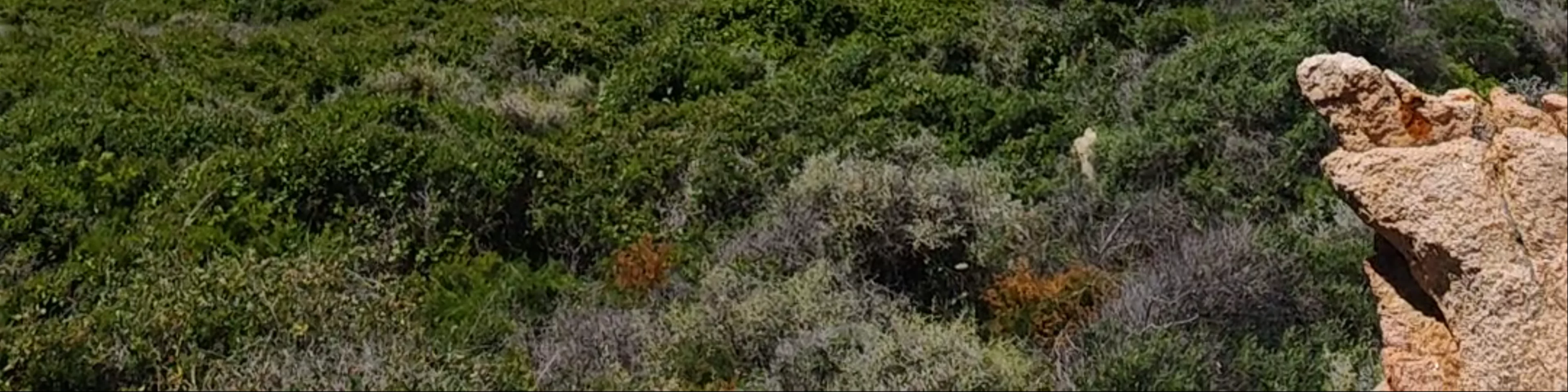 Sentier Des Douaniers