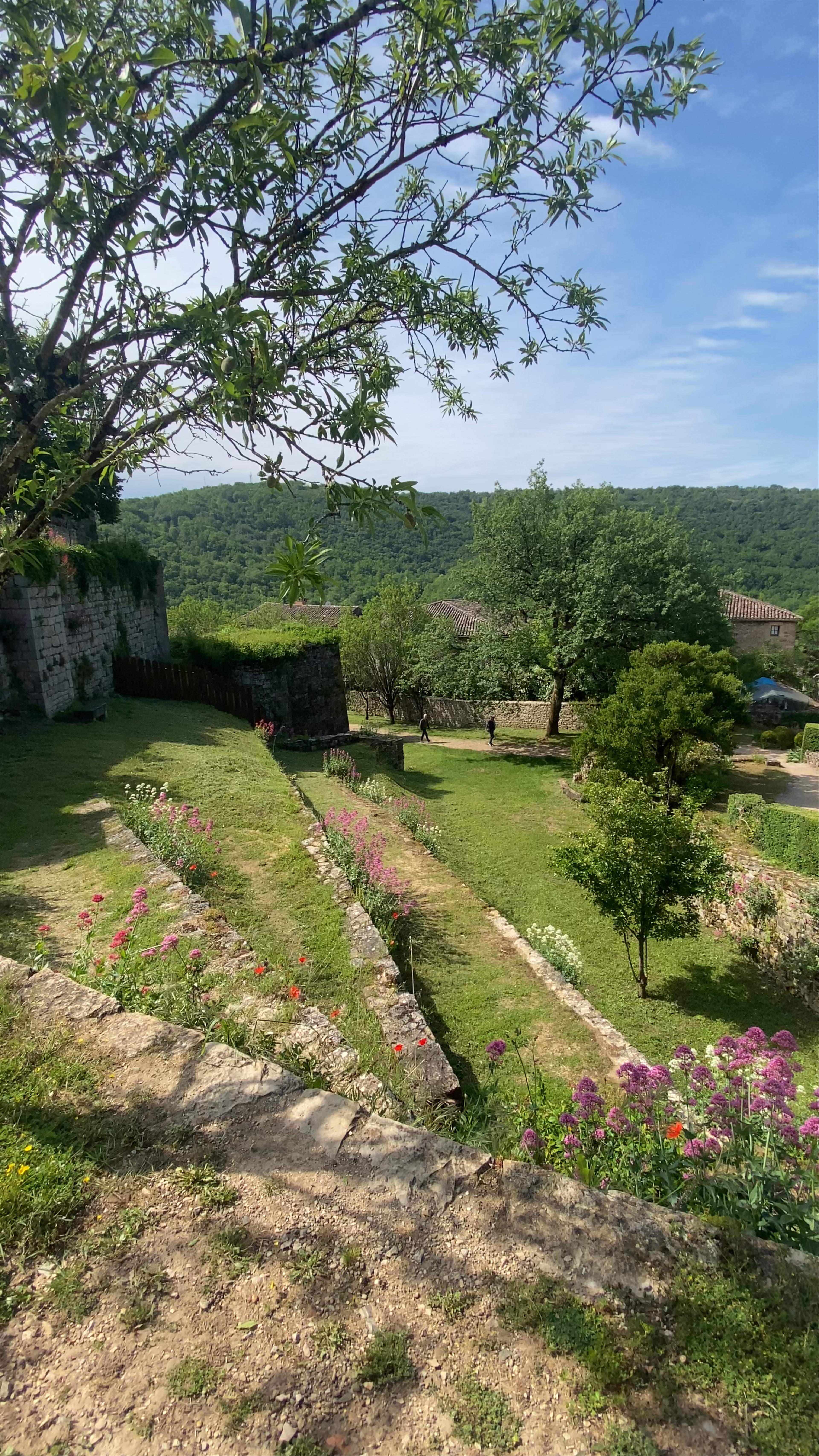 Les Châteaux de Bruniquel