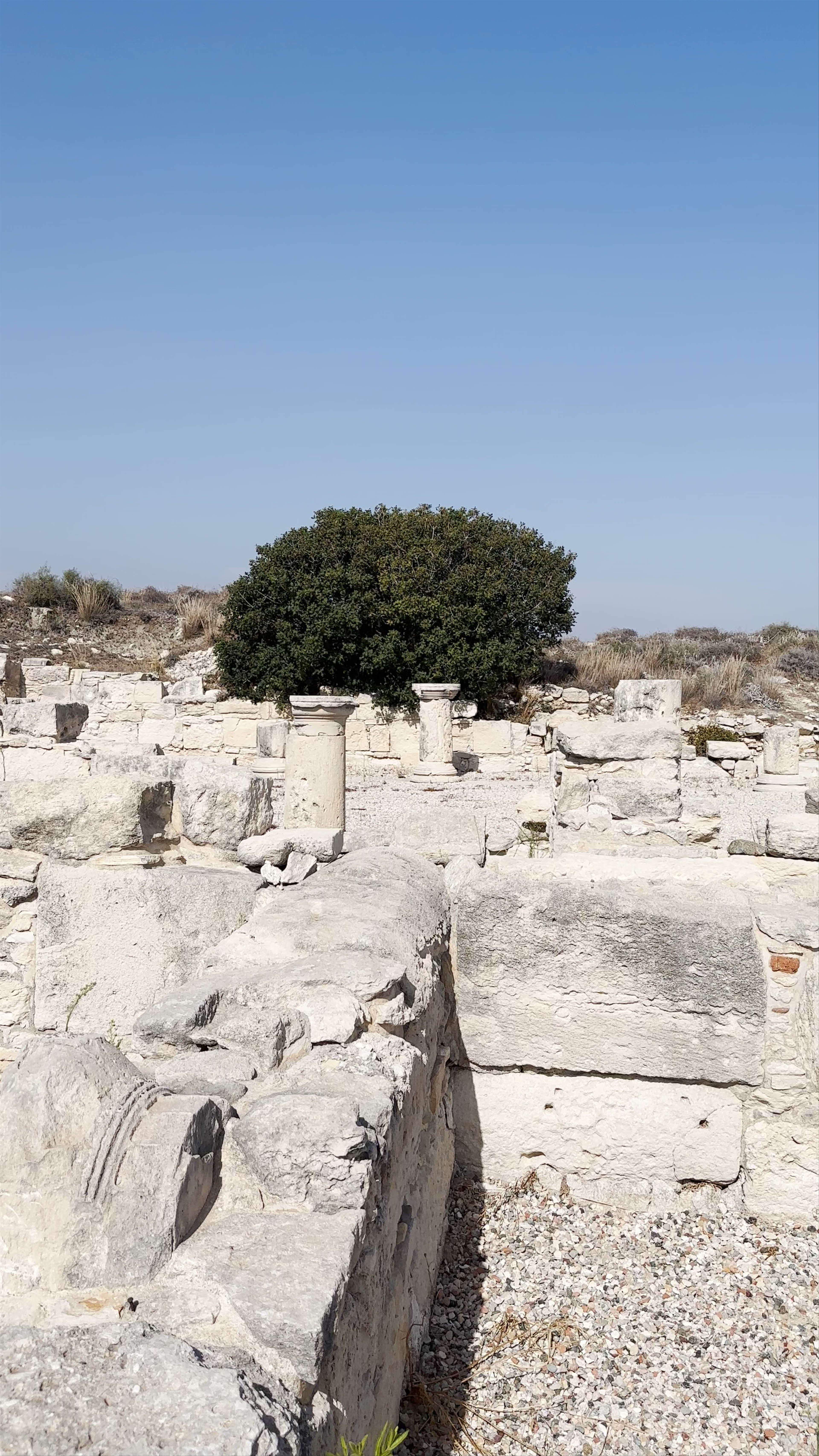 Local Archaeological Museum of Kourion
