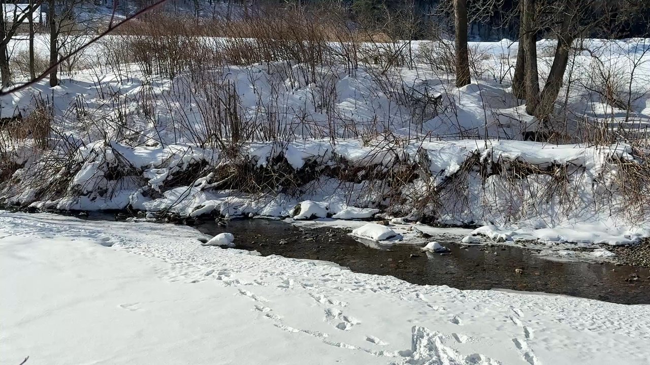 Stowe Recreation Path - Hiking Near Me