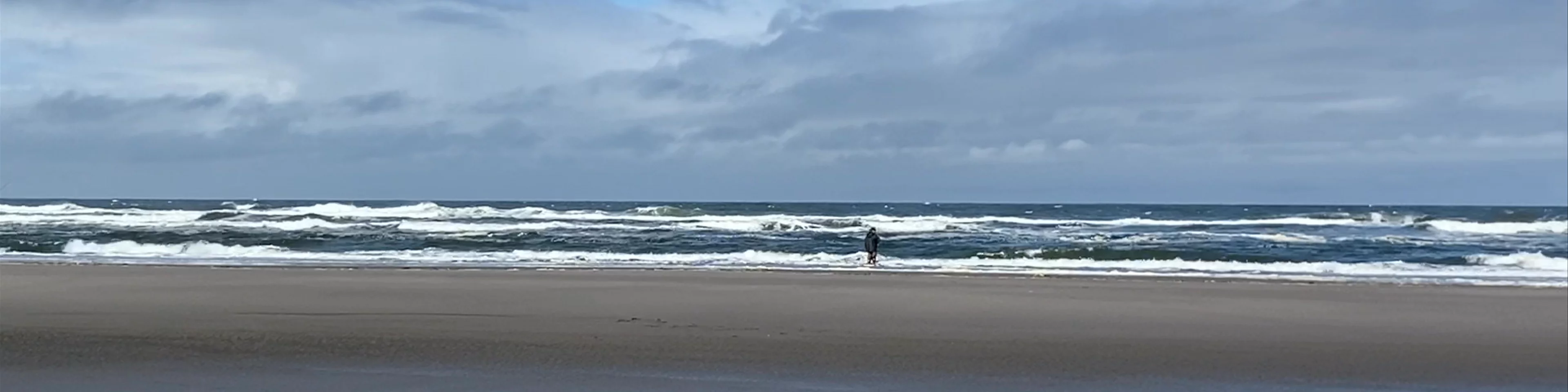 Cape Disappointment State Park