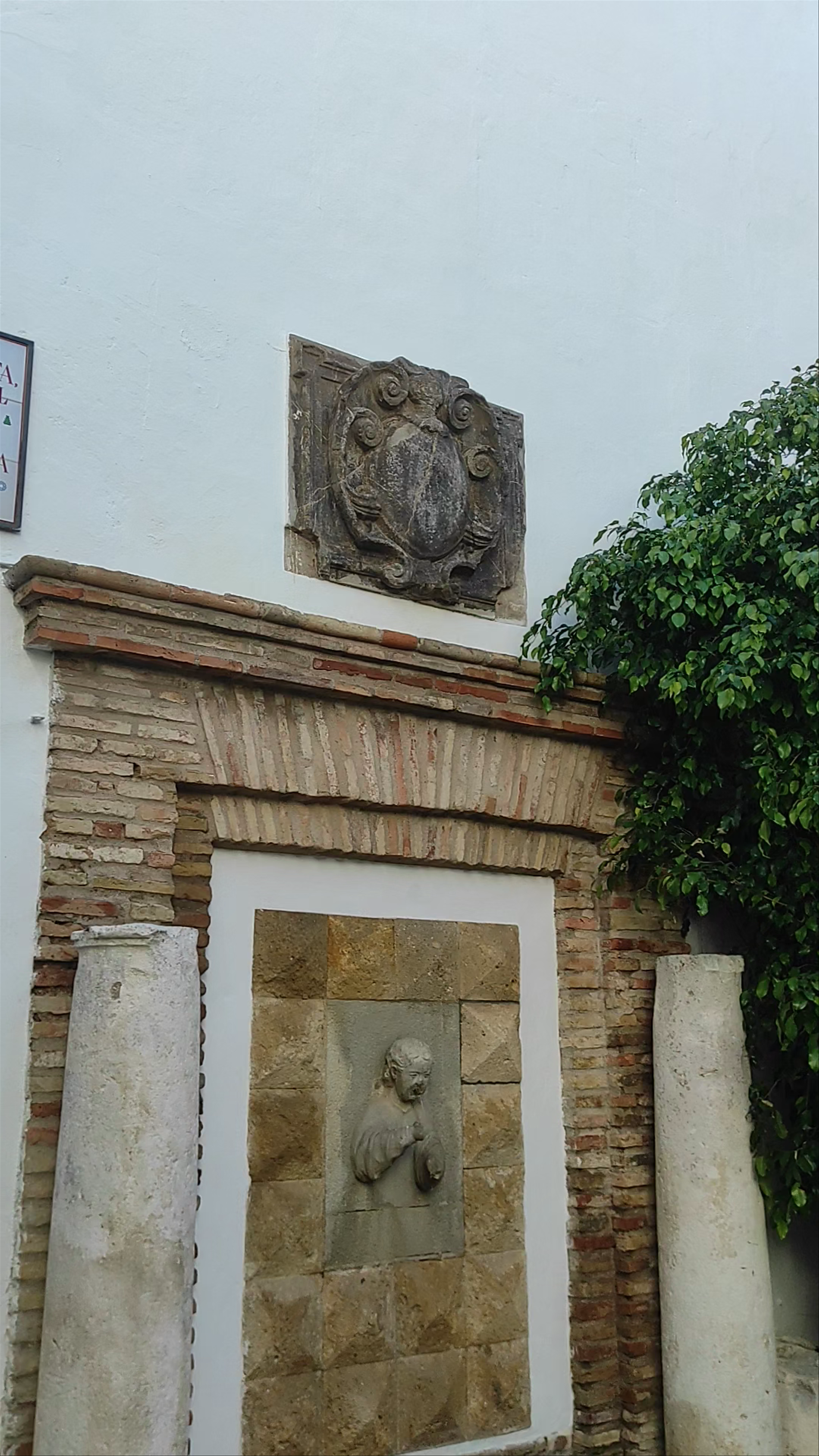 Taberna La Luna: Hidden Andalusian Charm in Córdoba
