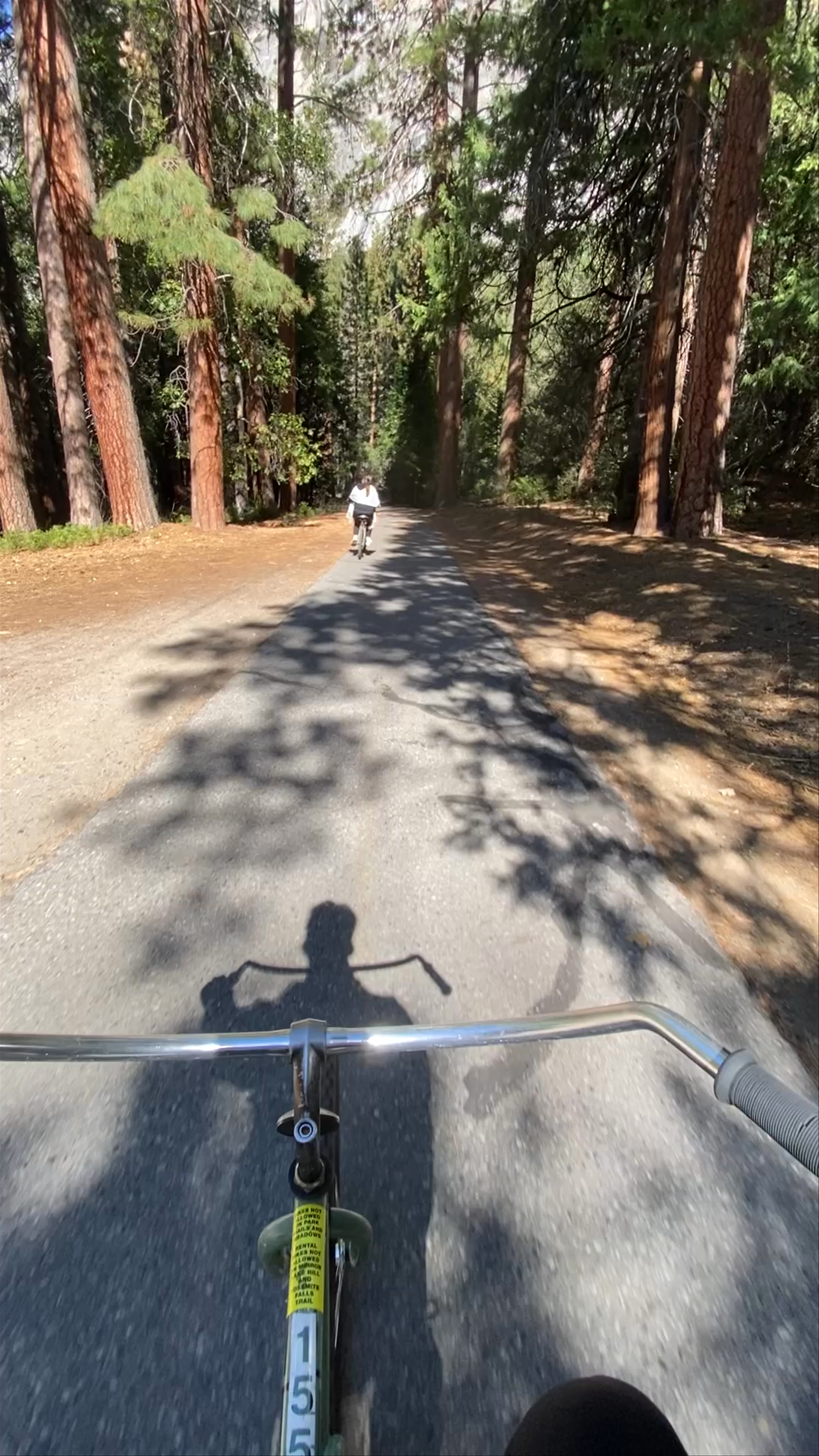 Curry Village Bike Rental