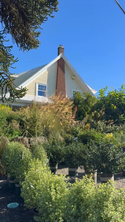 Cornell Farm Cafe - Cafes Near Me - Portland, Oregon