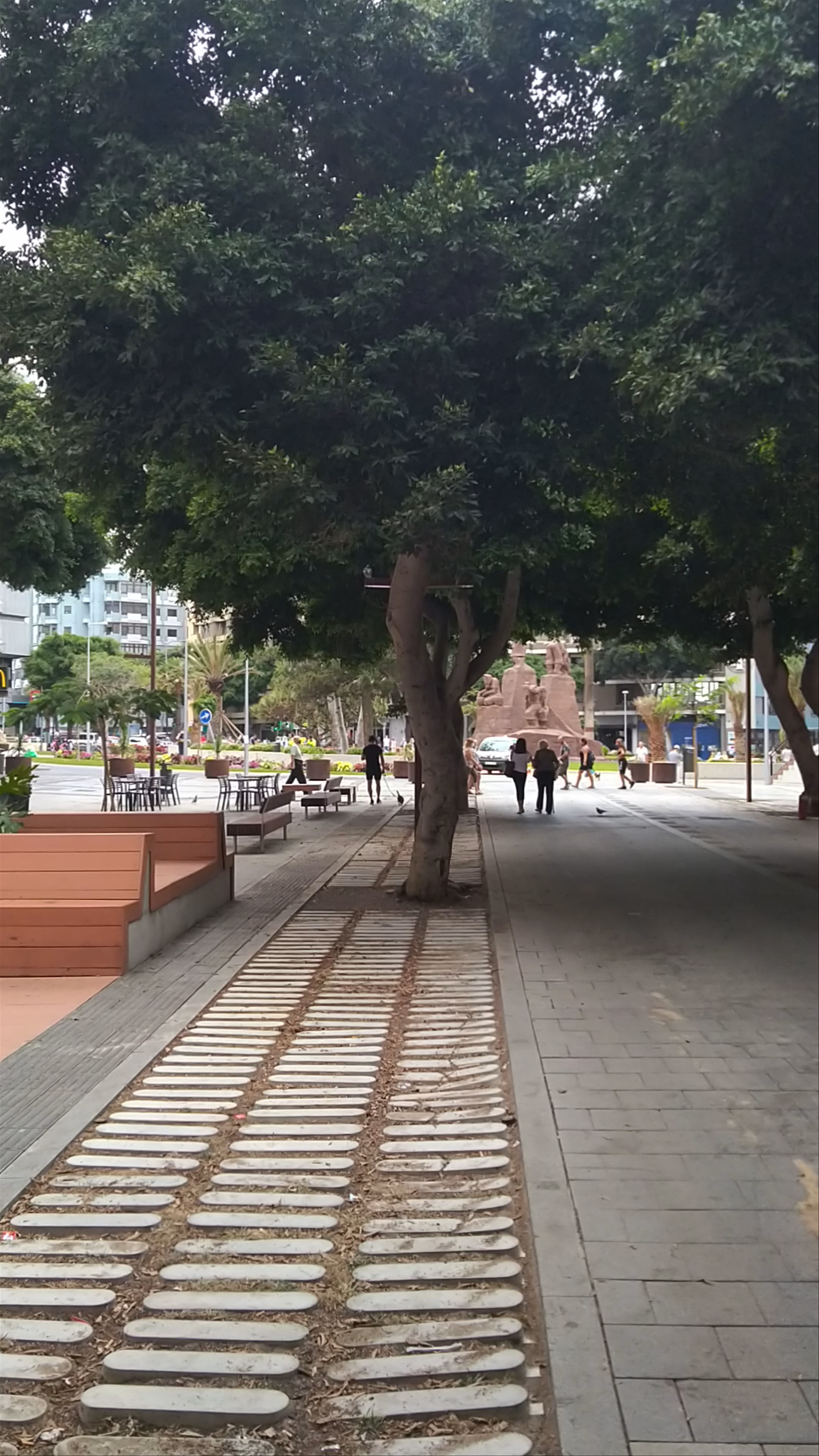 Avenida José Mesa y López: Urban Green Escape in Las Palmas de Gran Canaria
