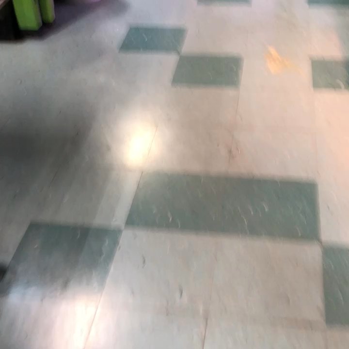 Gaiser Pets - I freakin love their turtle!!! He's so funny!! - Pet Stores Near Me - Yuba City, California