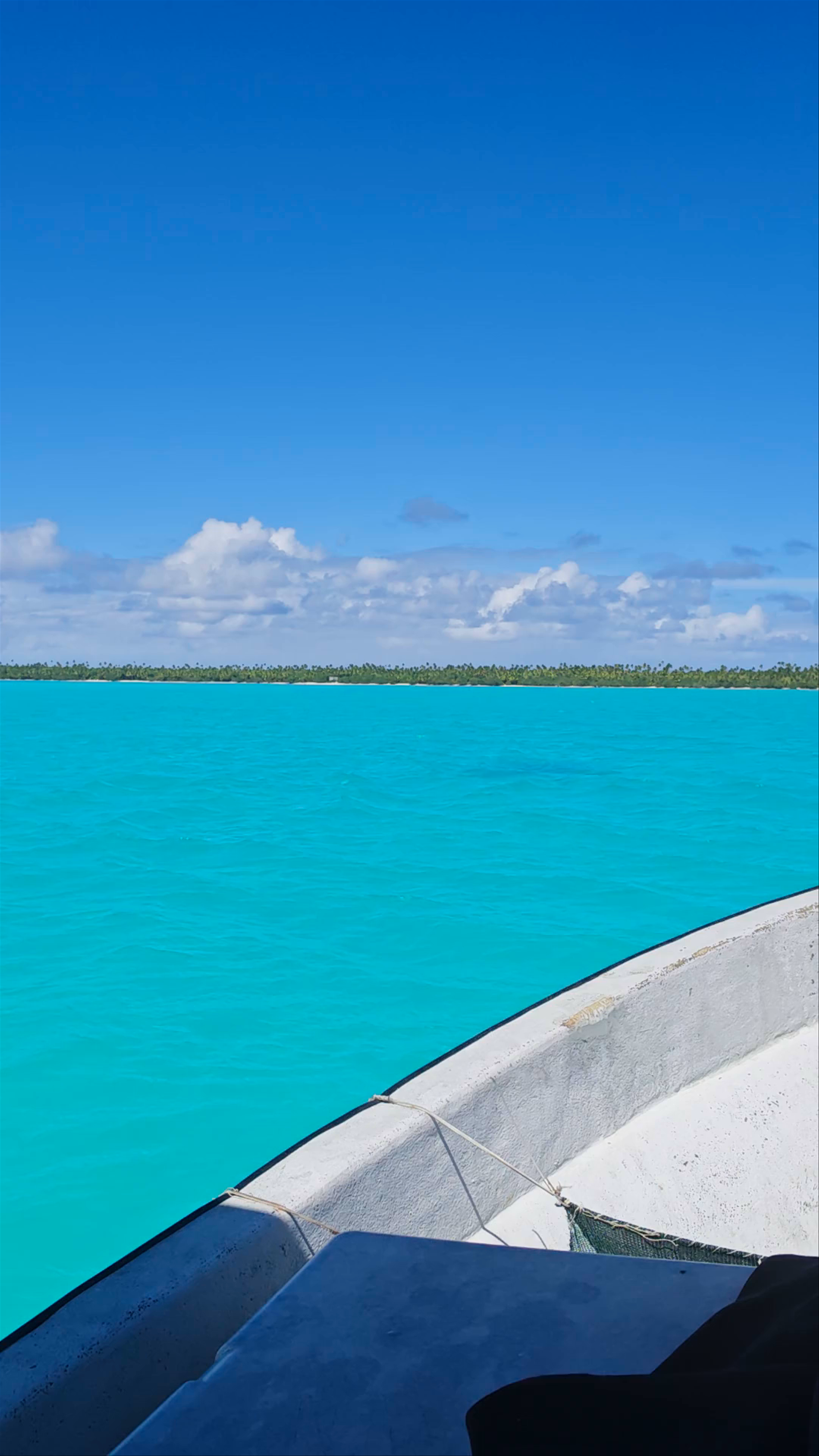 Teking Lagoon Cruises