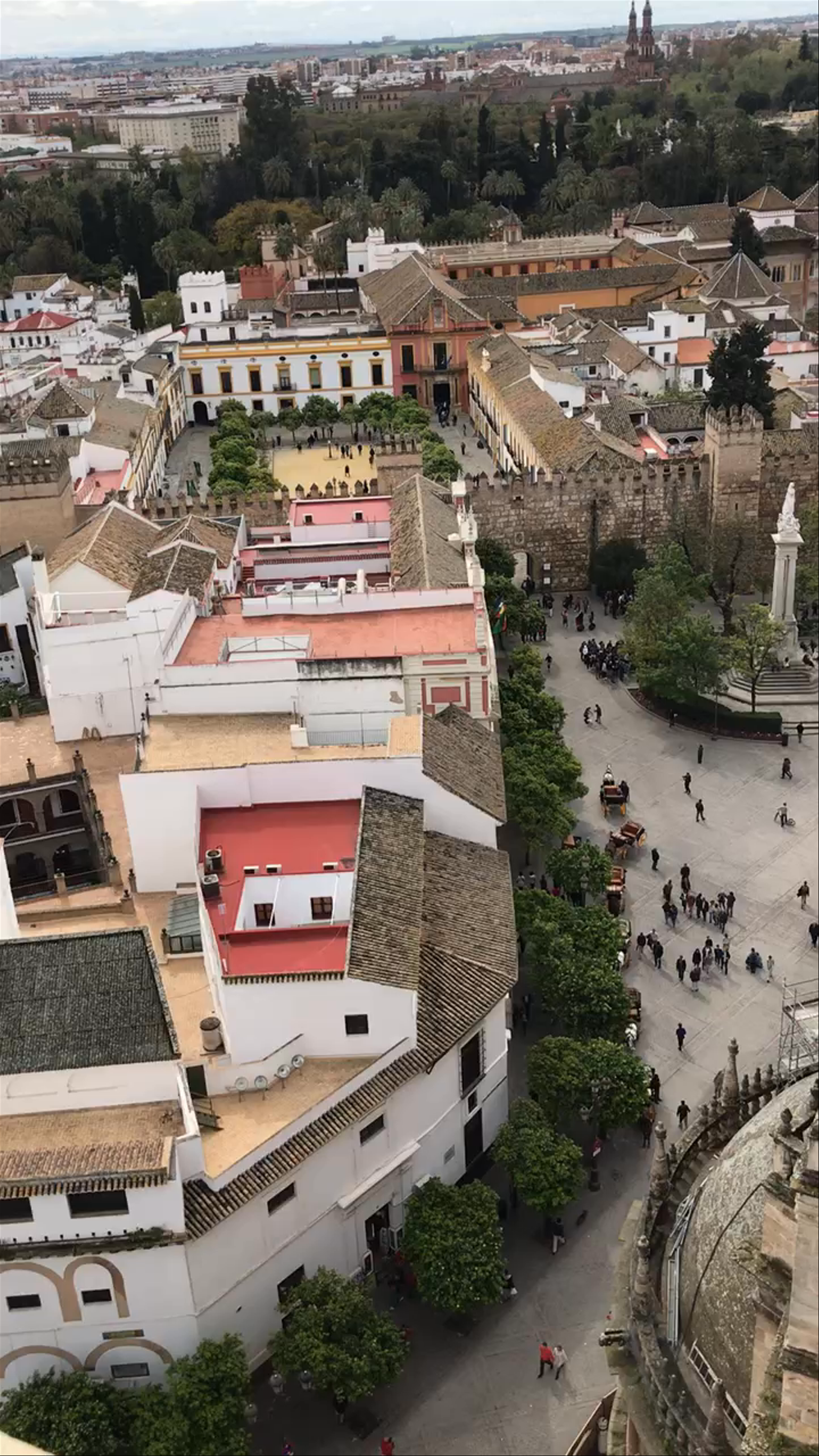 Seville Cathedral Aerial View: Historic Majesty in Andalucía