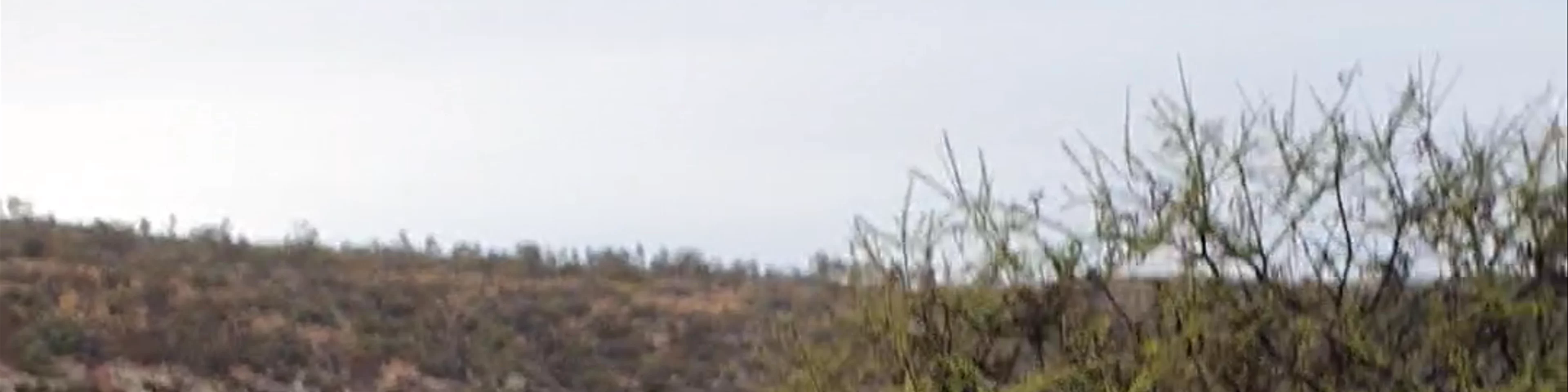 Ross Graham lookout