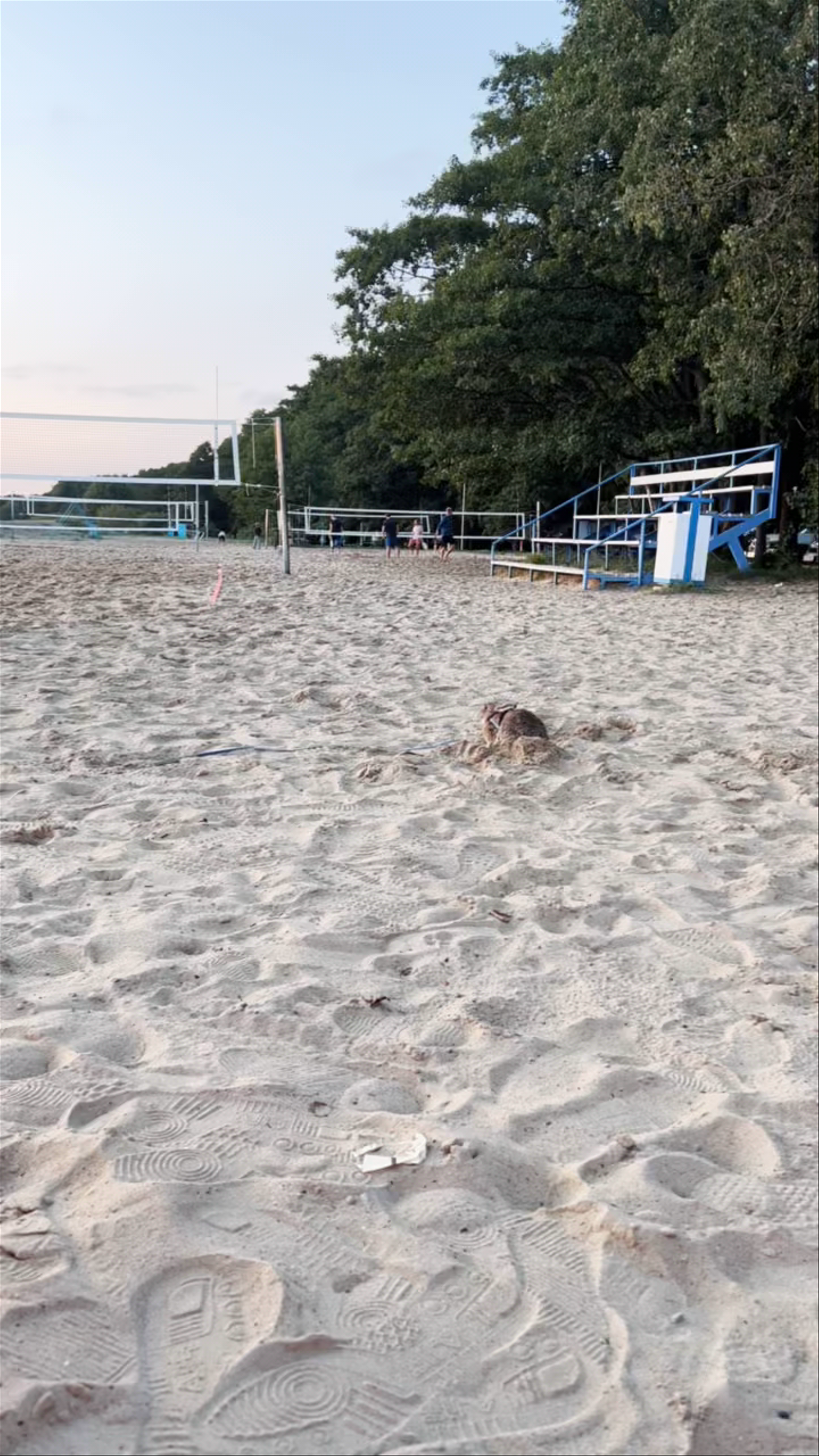 Burger Kitchen Rannabaar