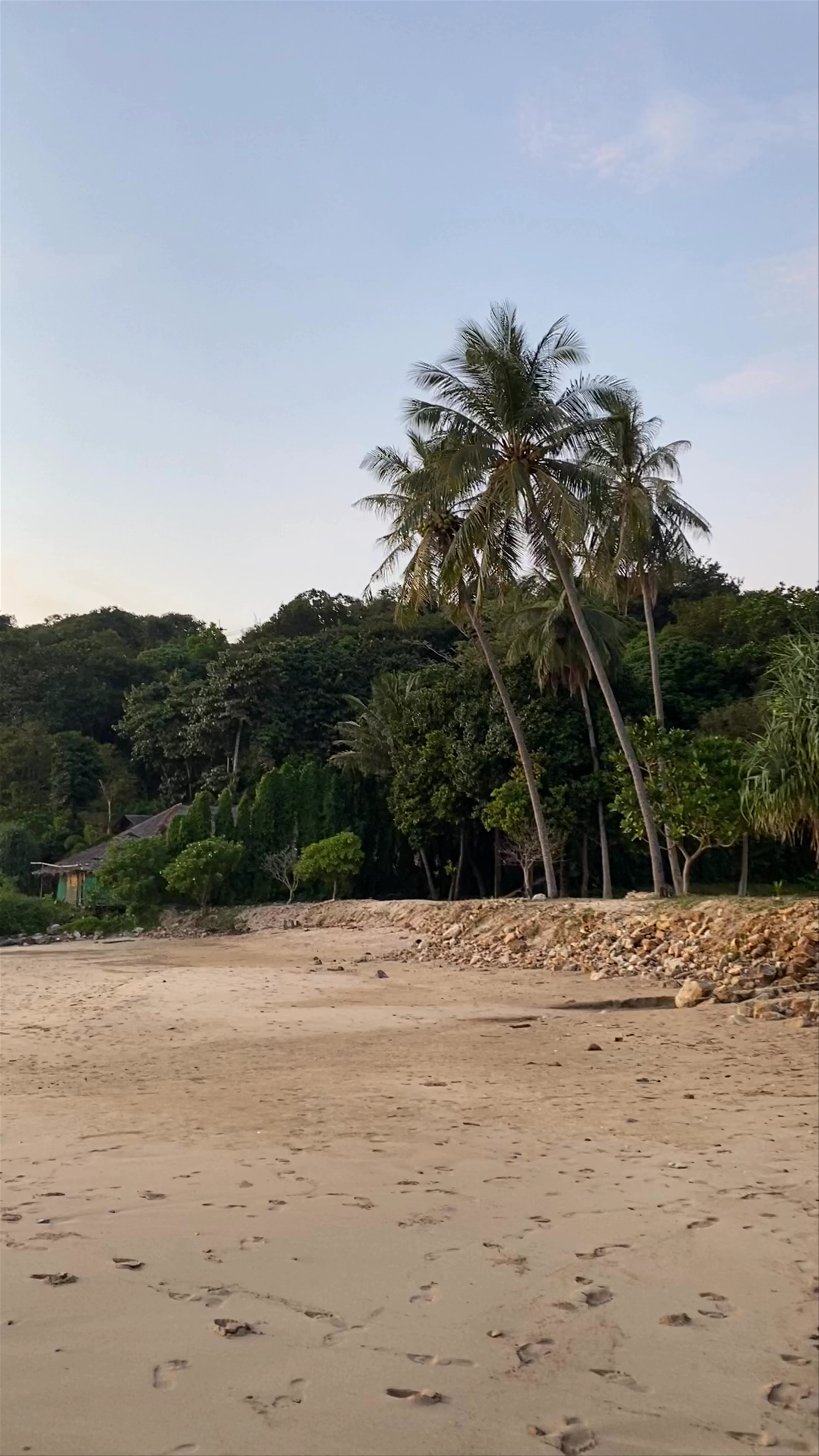 Bamboo Beach