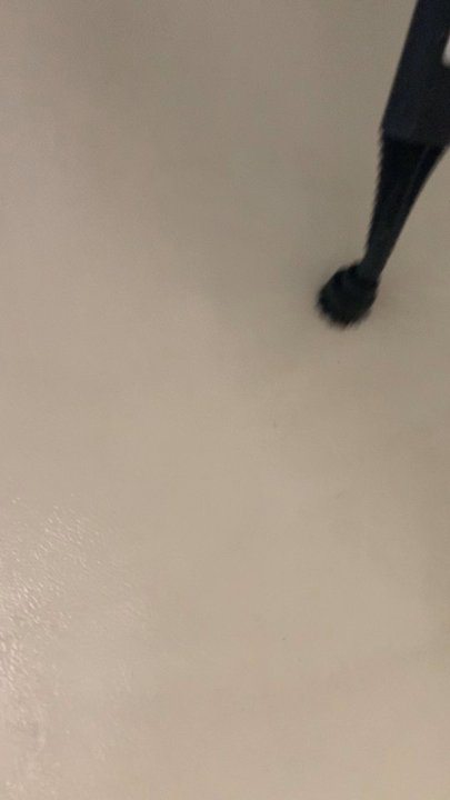 SpeedyCleaner - Fridge DeepCleaning( Steam Machine ) - Home Cleaning Near Me