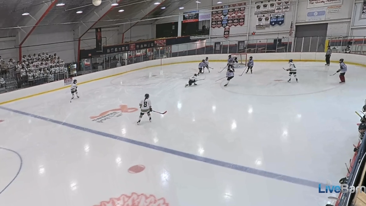 Anna DeSantis' Bardown Beauty - Boston Hockey Academy 16U AAA Highlights