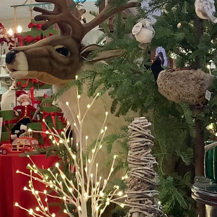 My Favorite Things - 2 singing deer lol - Home Decor Near Me - Lexington, Kentucky