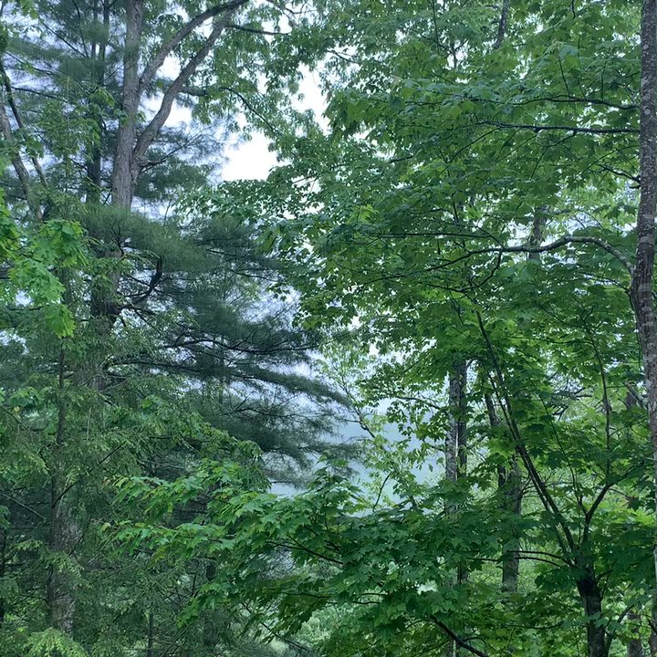 Cliffview Resort - Rain in the forest .... nothing better! - Resorts Near Me - Campton, Kentucky