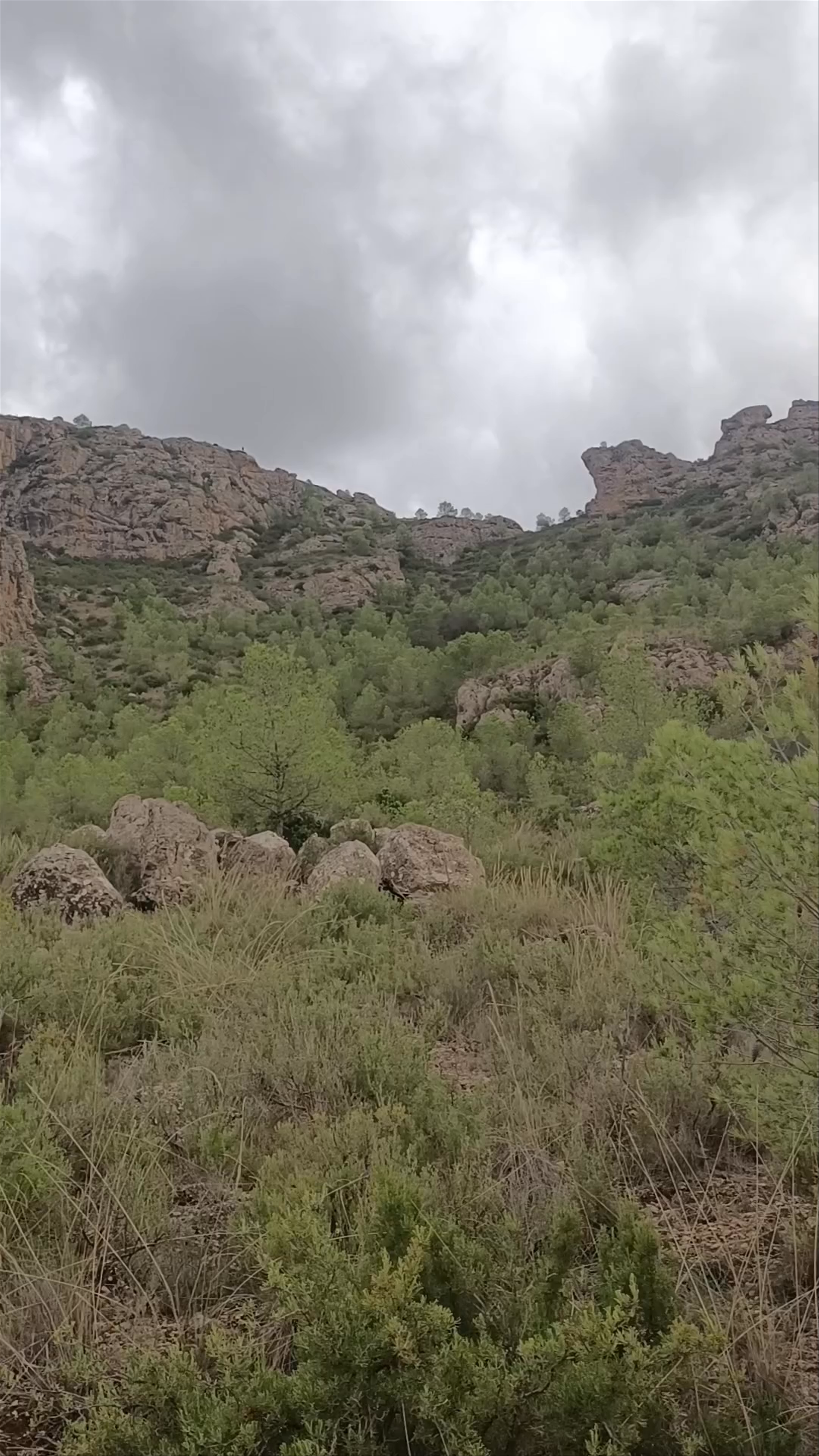 Monte de Santa Ana