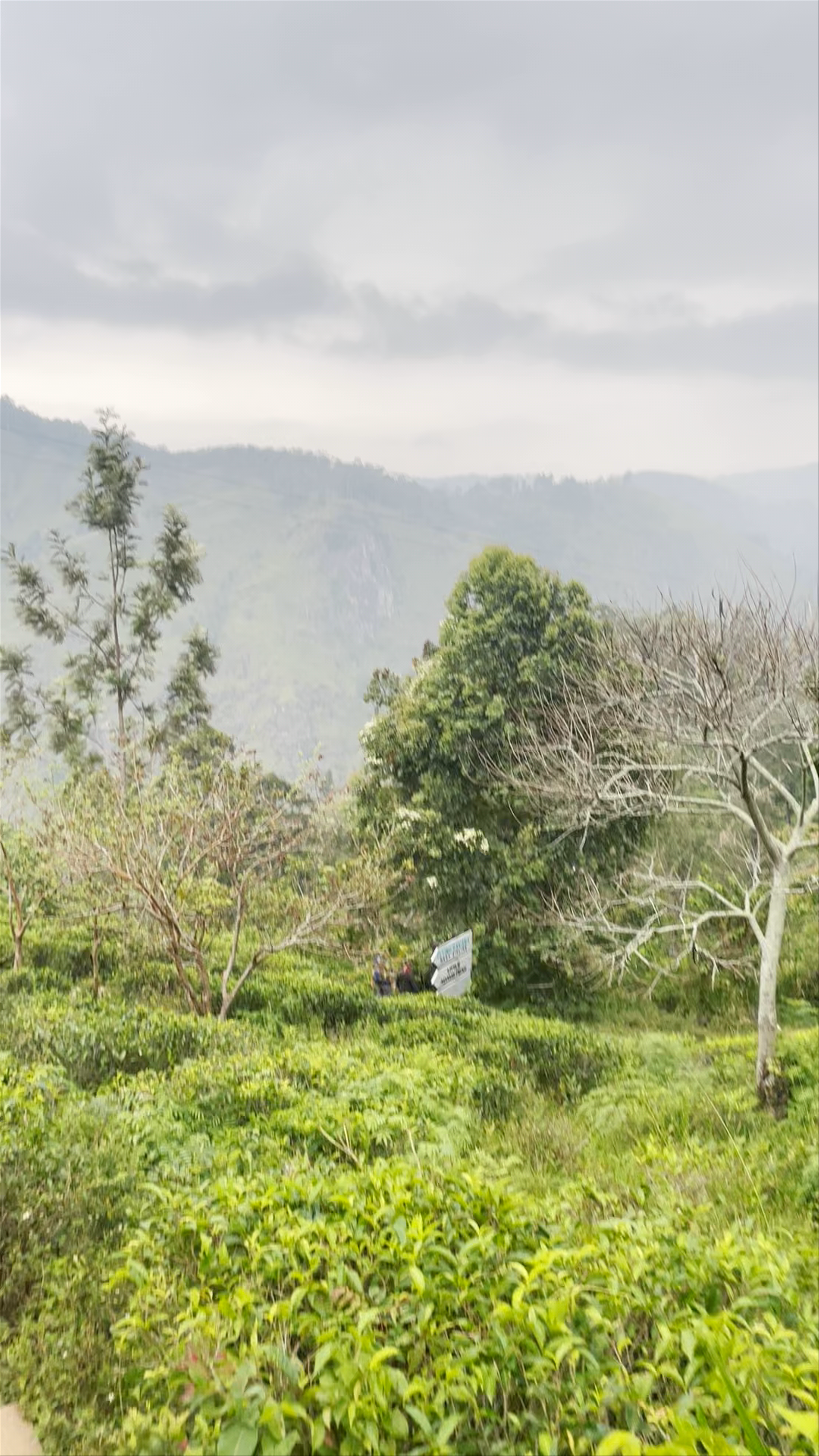 Little Adam's Peak