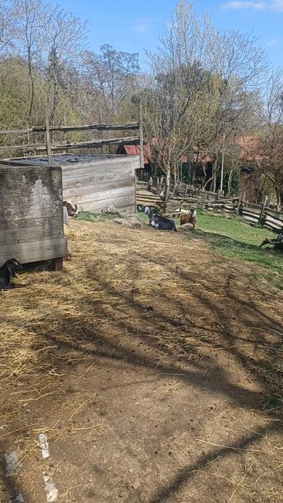 Riverdale Farm - Zoos Near Me - Toronto, Ontario