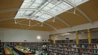 Sean Suen - © Artlist