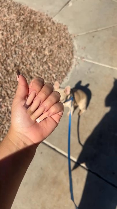 Lashes N Nails - Nail Salons Near Me - Tempe, Arizona