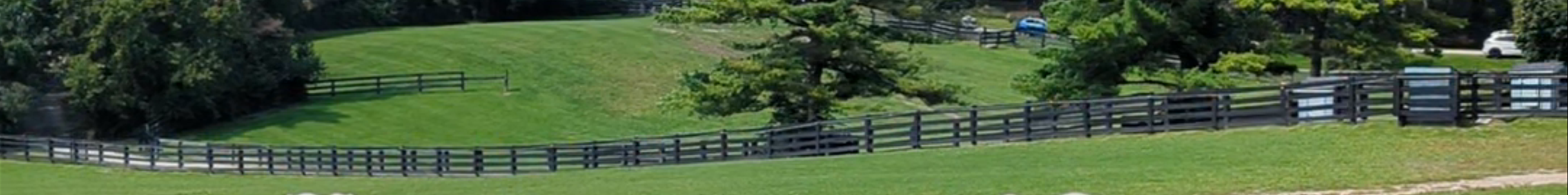 Tours & experiences in Newmarket