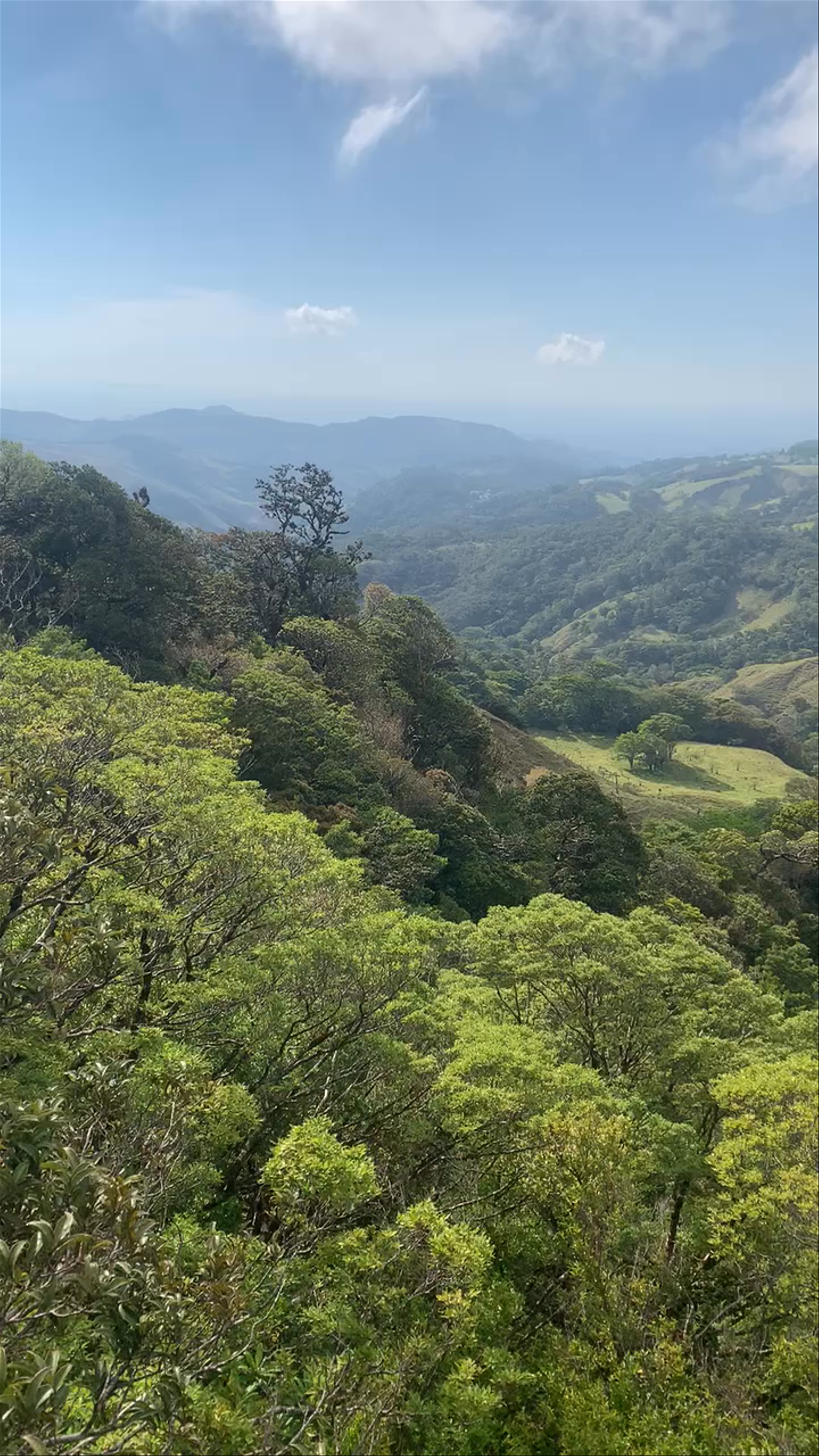 Monteverde - Overlook in Selvatura Adventure Park