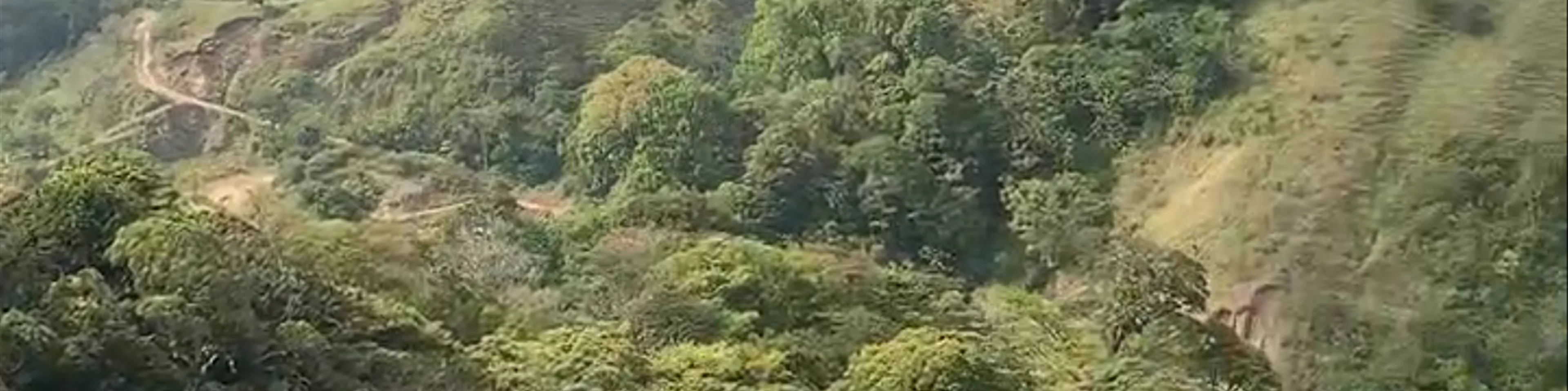 Monteverde - Overlook in Selvatura Adventure Park