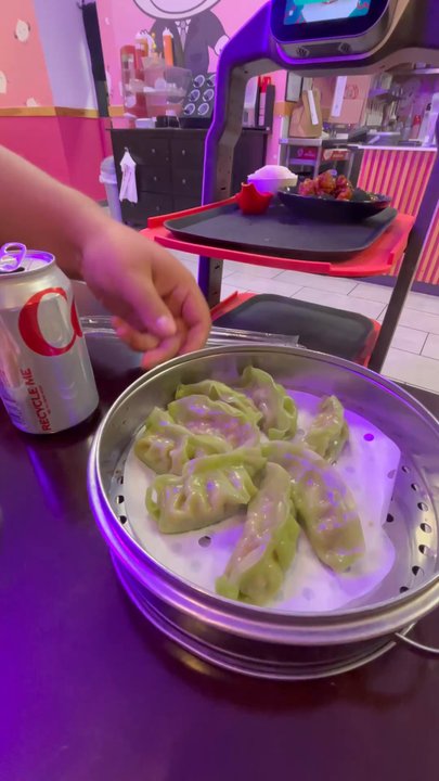 Serious Dumplings - Boca Raton - Dim Sum Near Me - Boca Raton, Florida