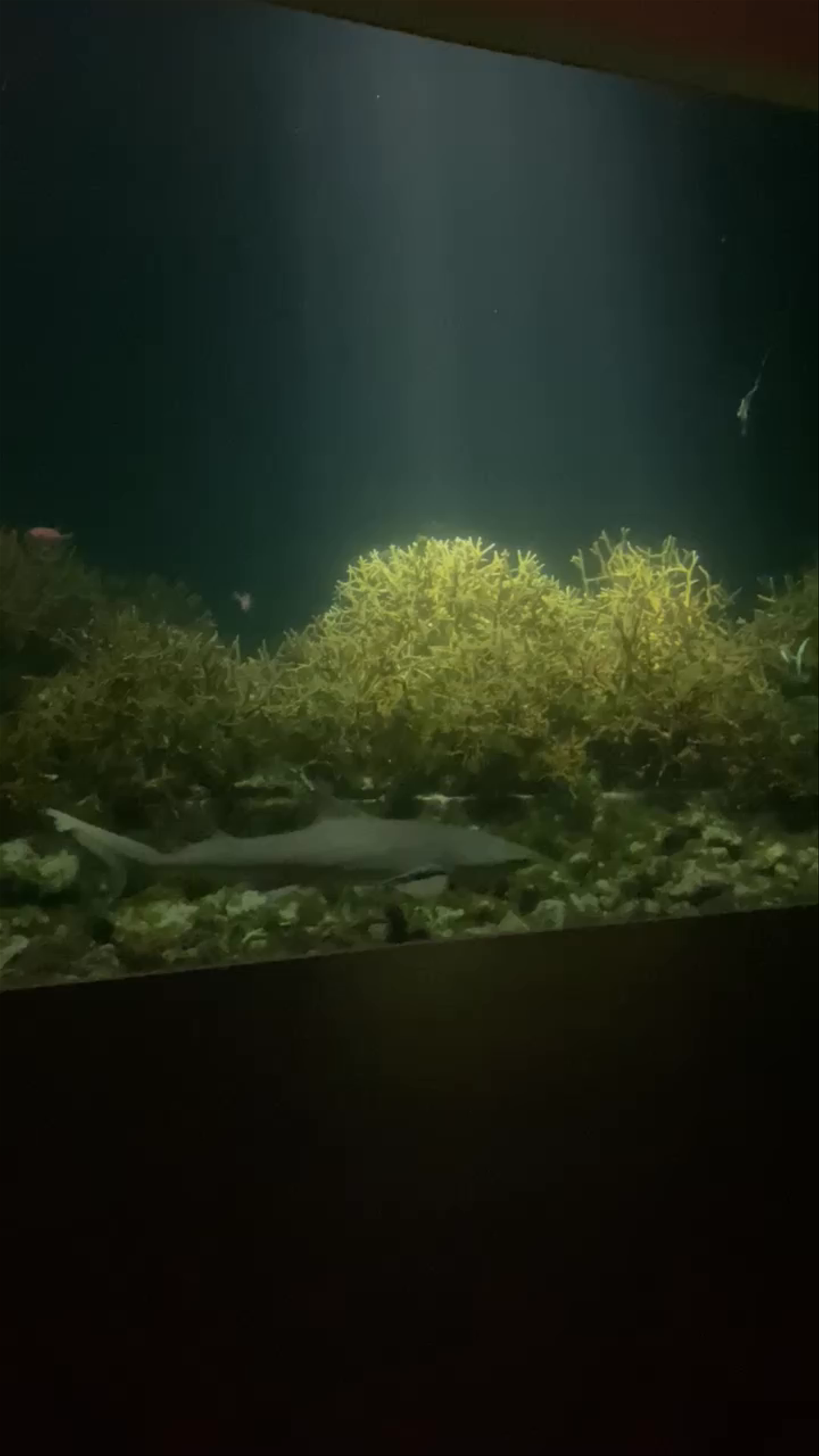 Pullman Maldives All-Inclusive Resort