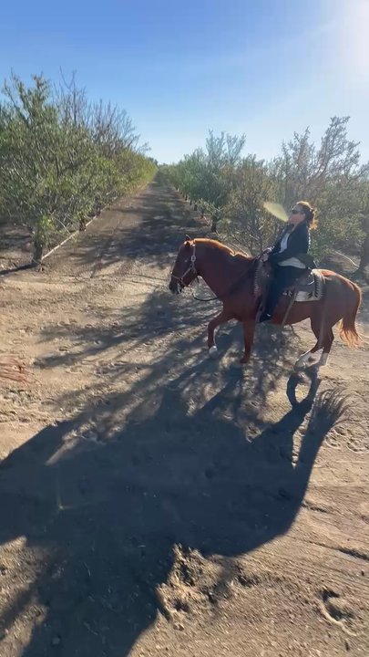 COWBOY TRAIL RIDES - Updated June 2026 - 45 Photos & 18 Reviews - 4159 ...