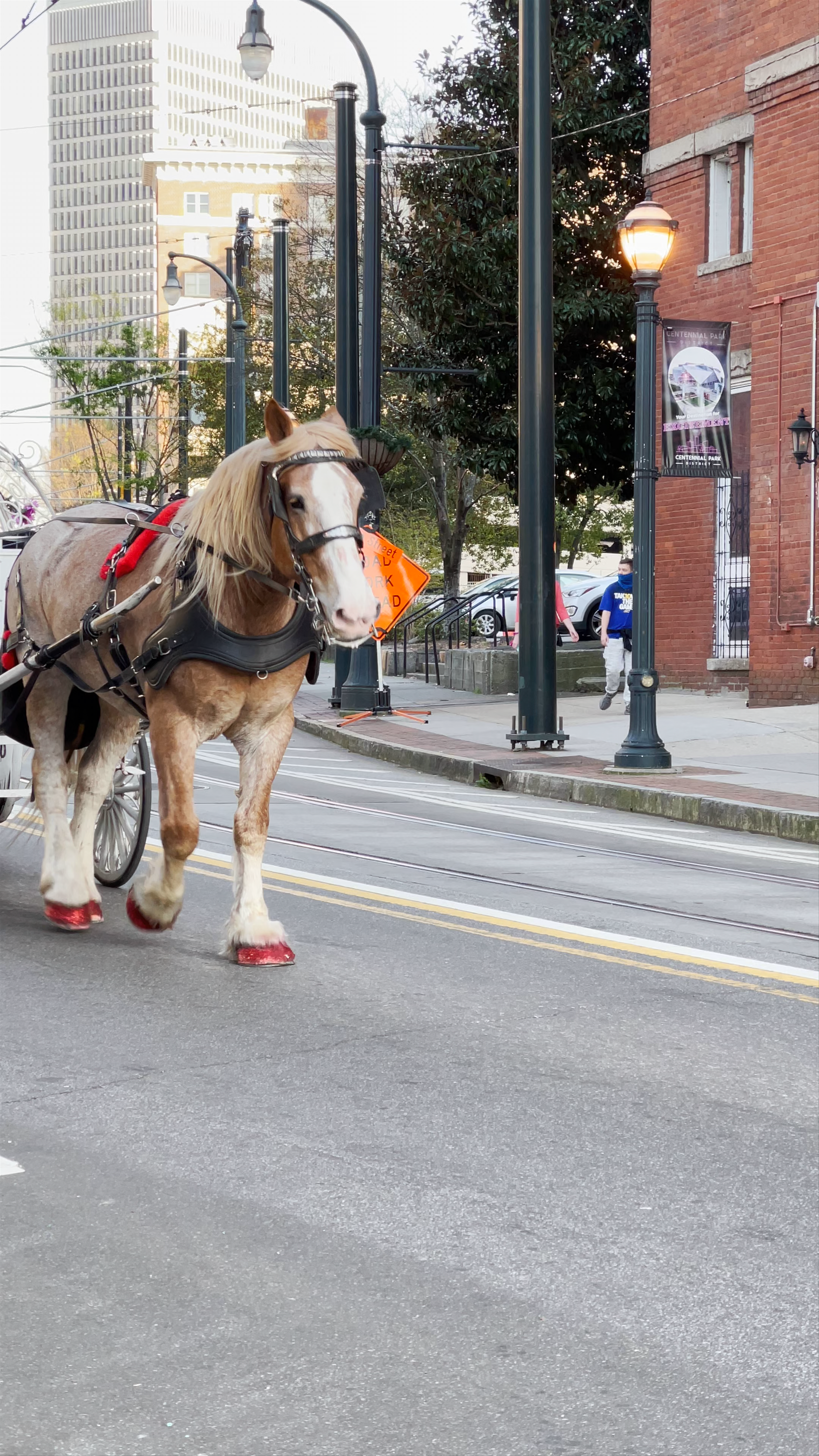 Horse-Drawn Carriage Ride Through Historic Downtown Atlanta