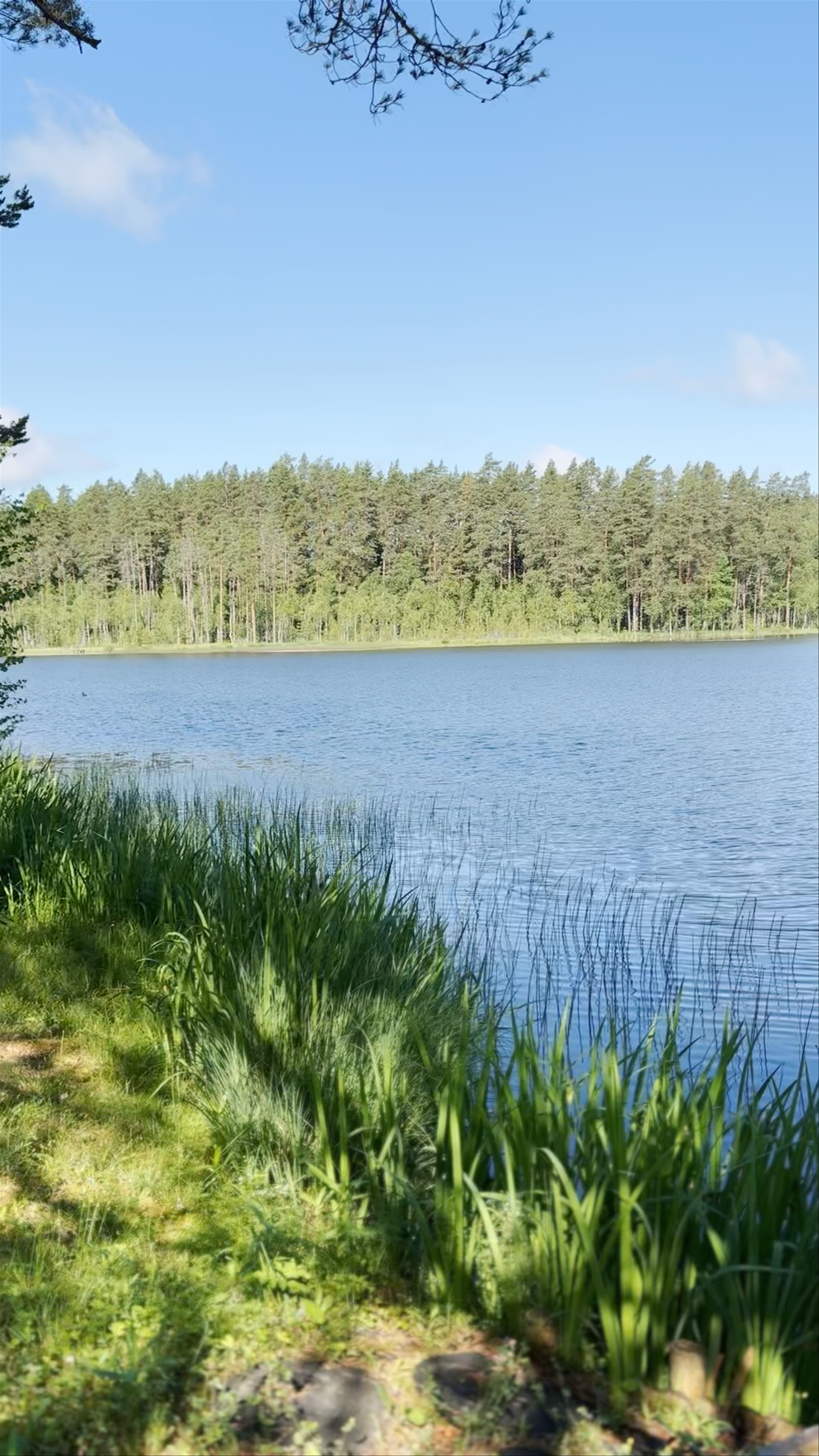 Serene Lakeside Escape at Čiekurs Tree Houses, Latvia