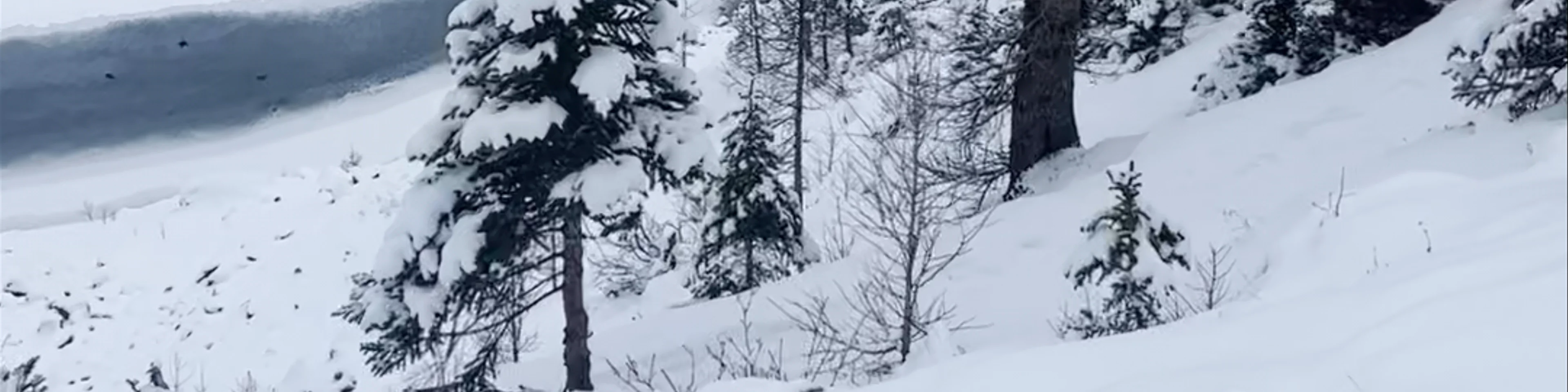 Kicking Horse Pass