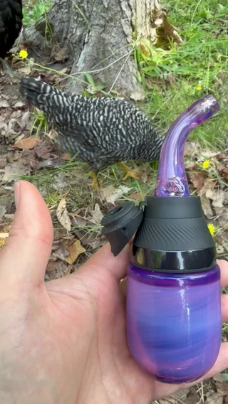 Preview pic of Stargazer puffco proxy core set with gooseneck mouthpiece
