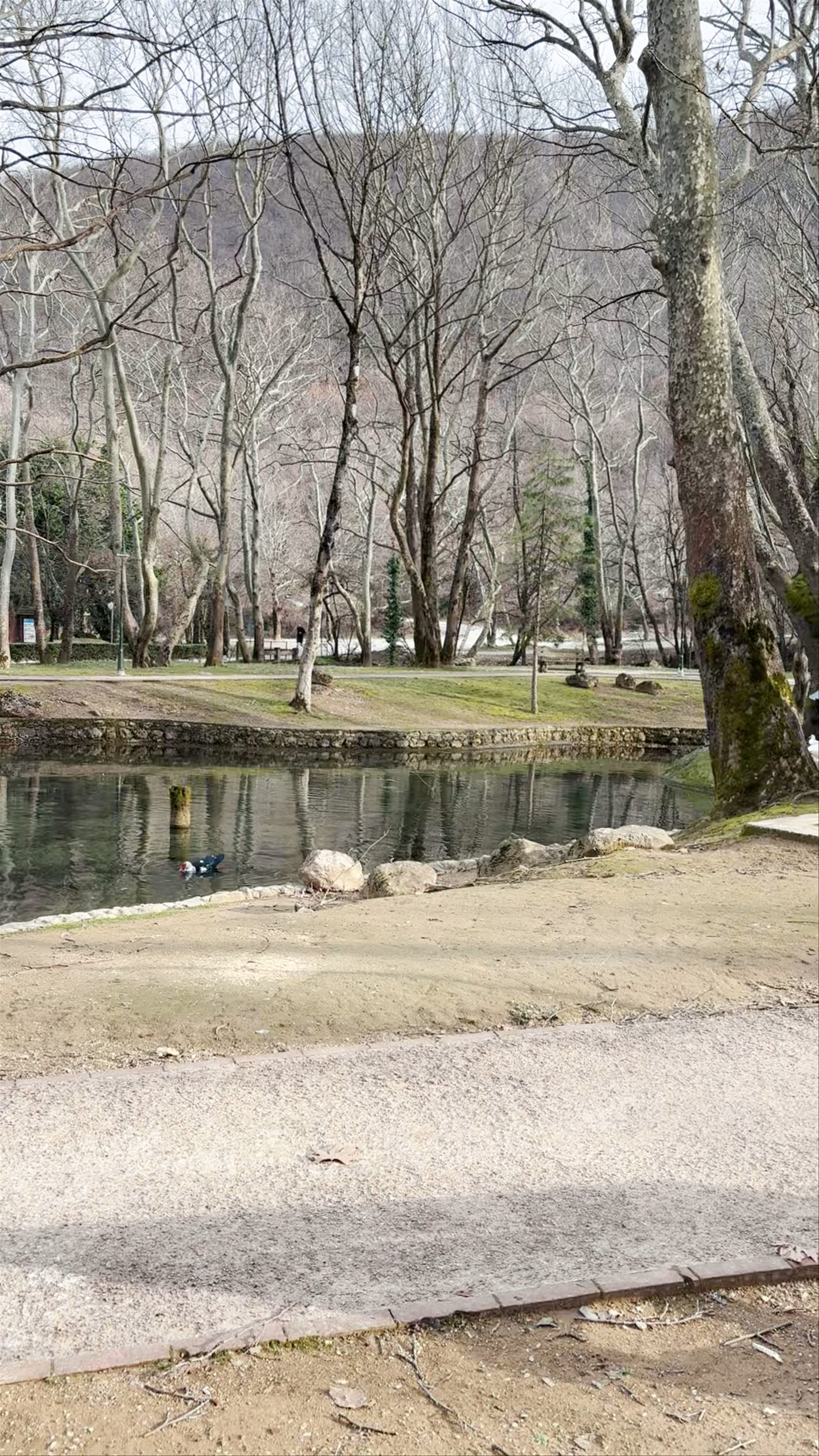 Agios Nikolaos Park