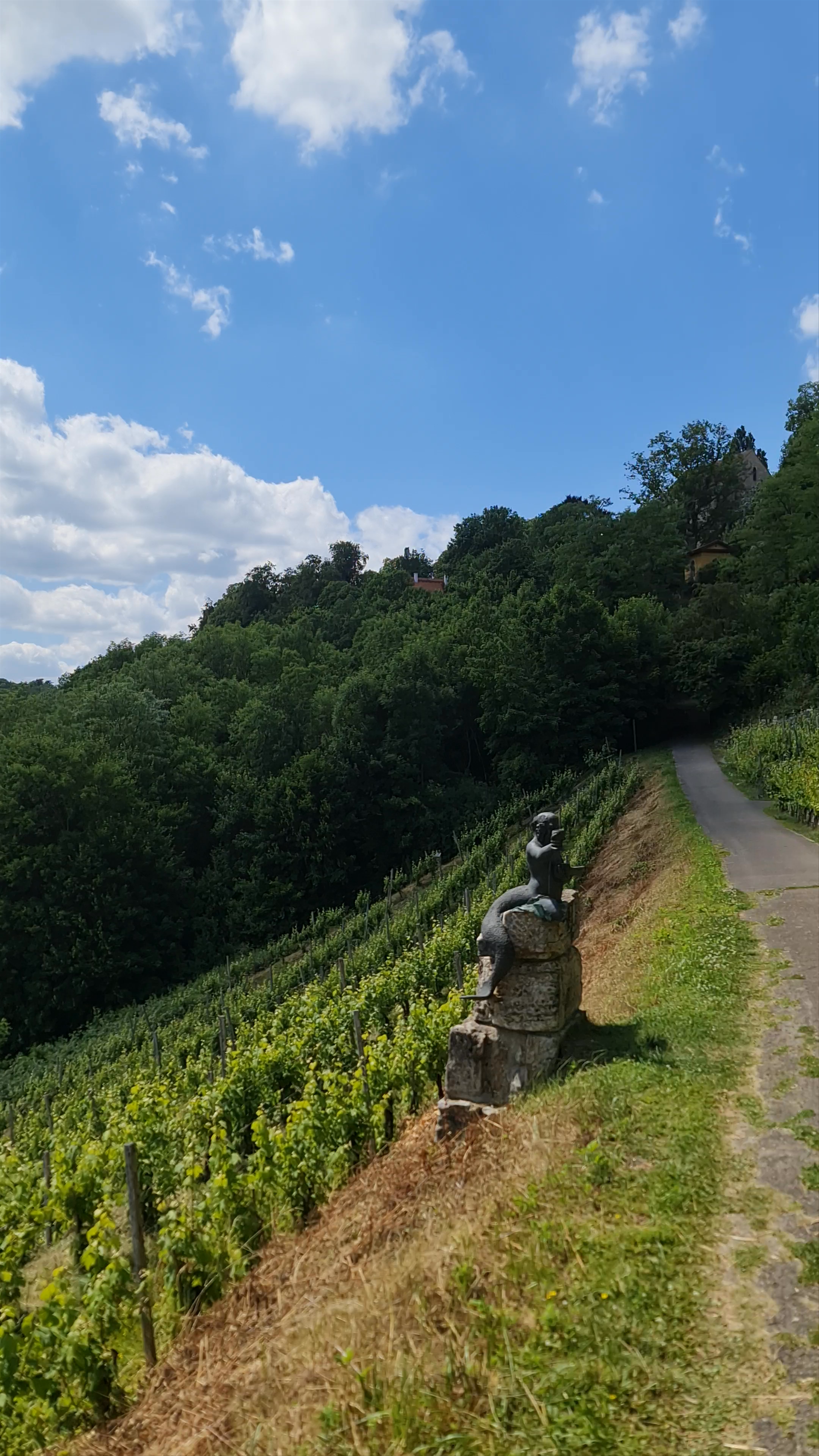 Double Bridge Vineyard Walk – Scenic Escape in Rothenburg ob der Tauber, Germany