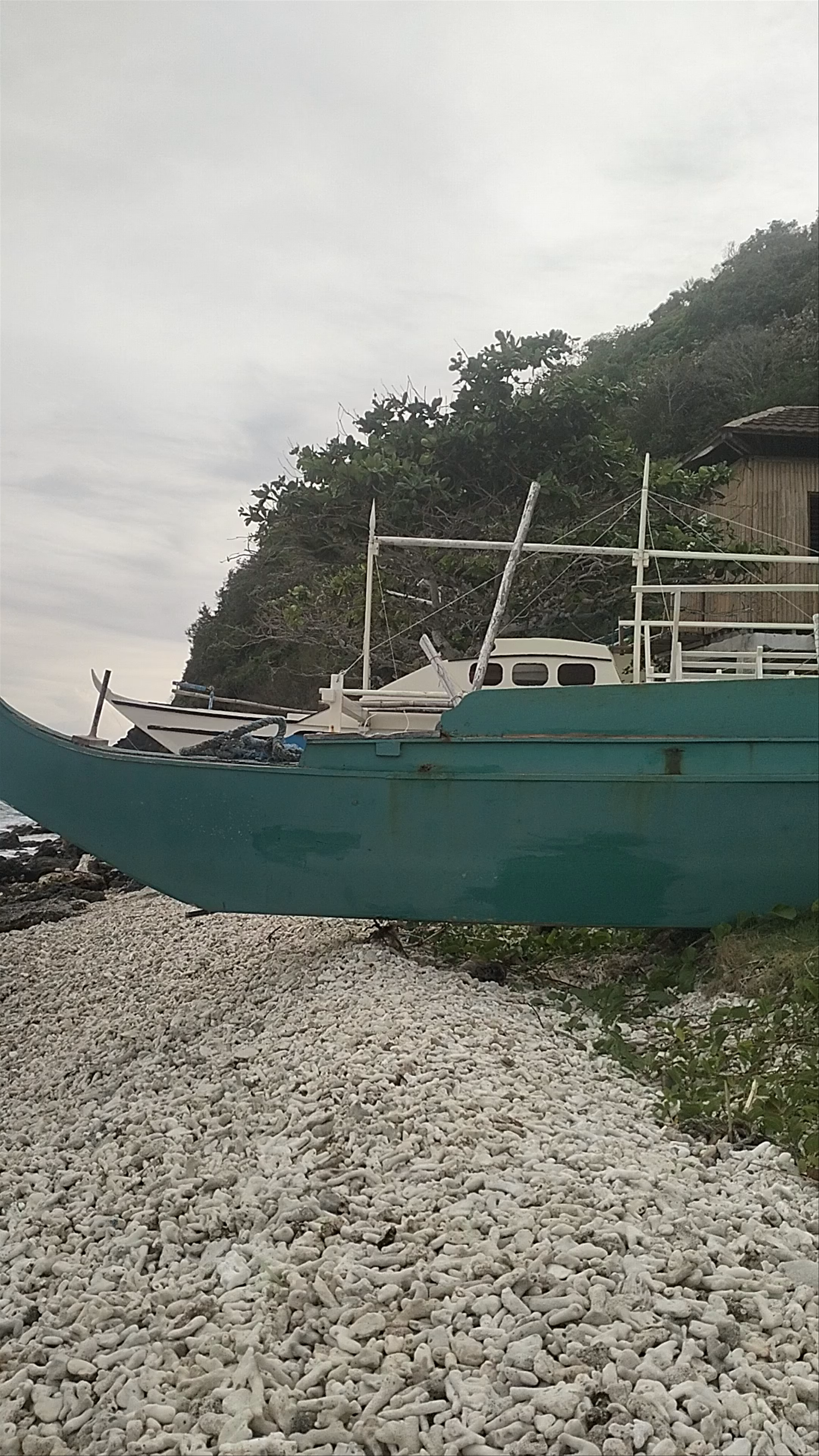 Apo Island Marine Sanctuary