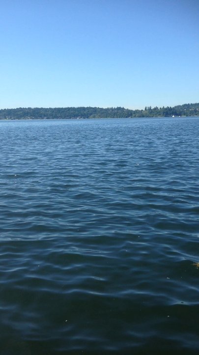 Clyde Beach Park - Clyde beach. Very calm and peaceful - Parks Near Me - Bellevue, Washington