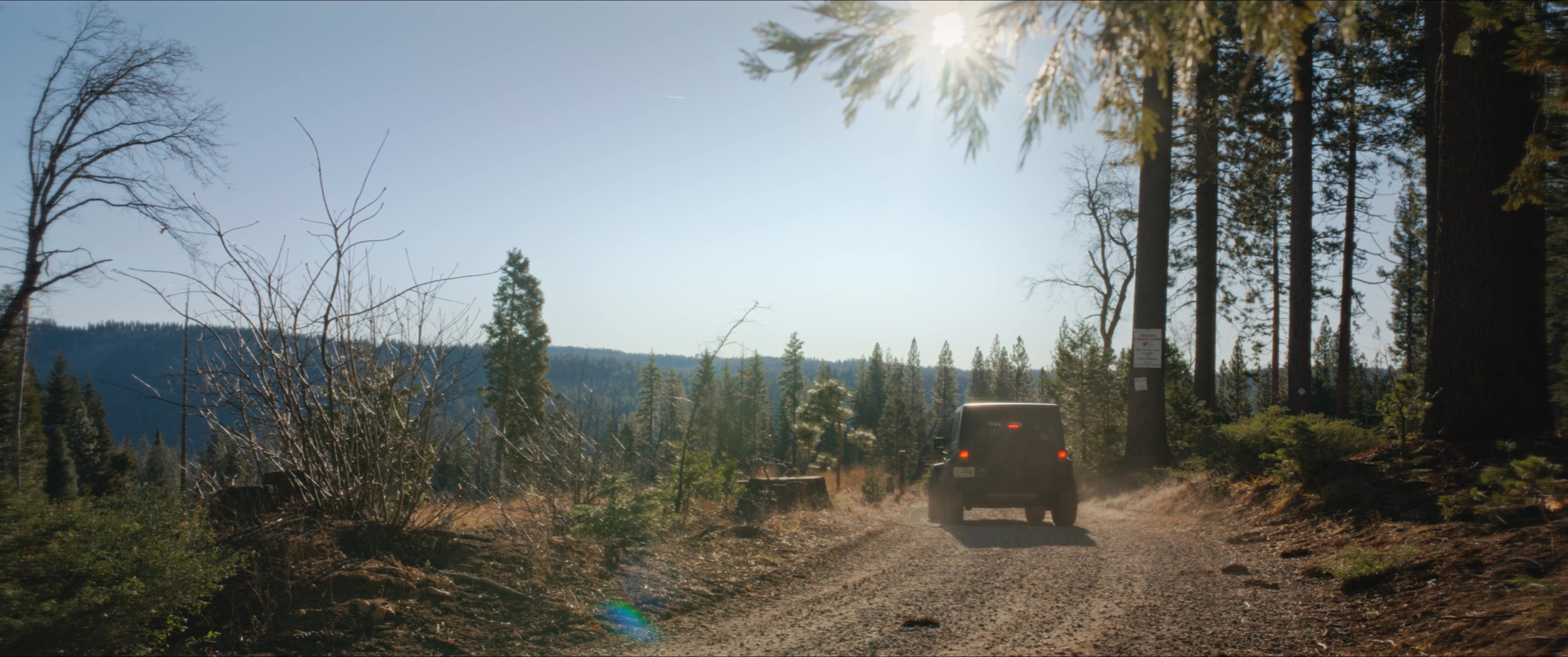 A sheriff navigates a rugged, wooded landscape in a patrol vehicle before stopping to exit and observe the terrain. The officer stands prepared for duty amidst the dense, sunlit forest environment.