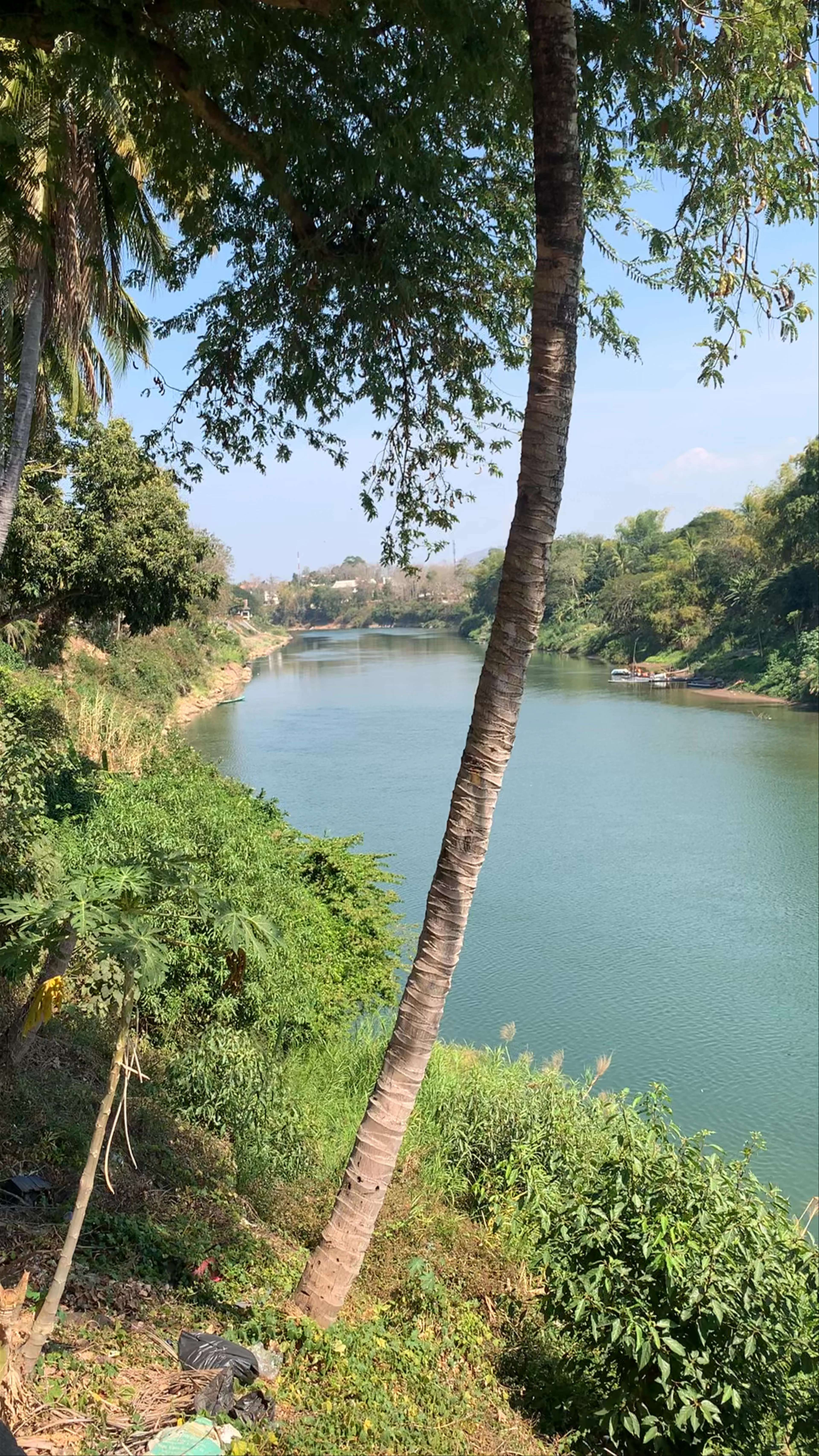 Bamboo Bridge