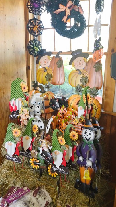 Brightwaters Farms - Pumpkin Patches Near Me - Bay Shore, New York