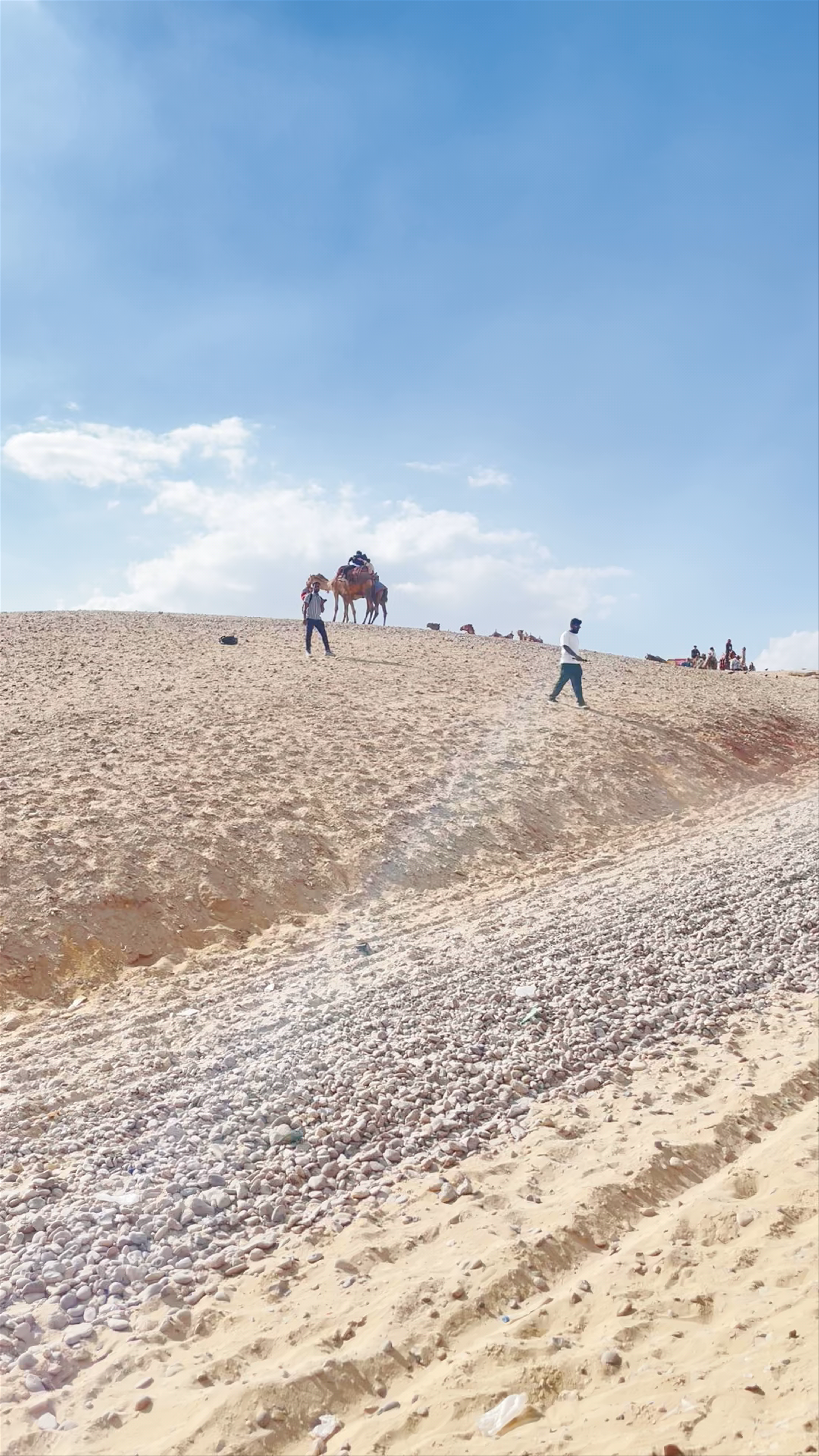 Panoramic view
