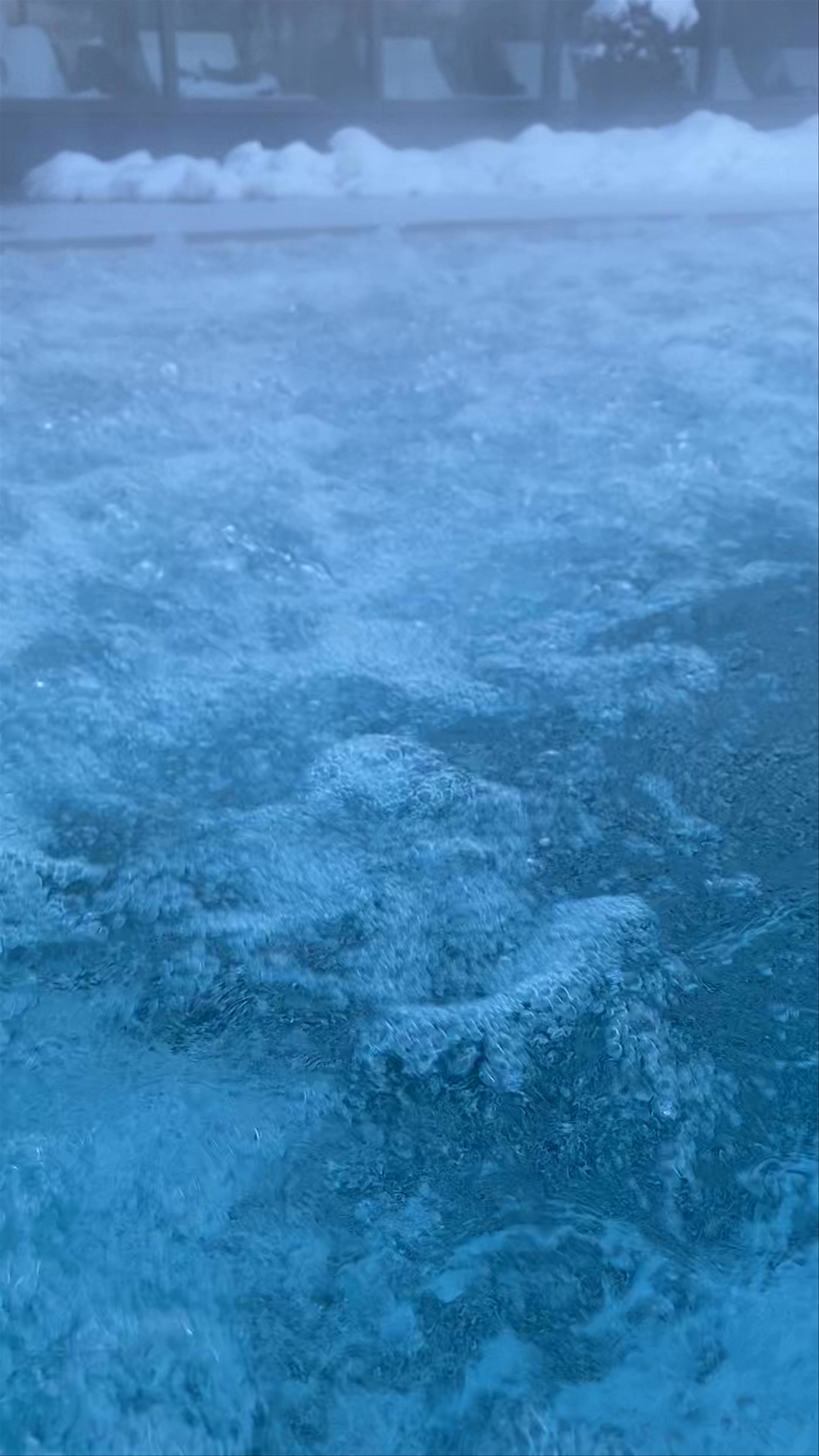 Lenkerhof gourmet spa resort - Relais & Châteaux