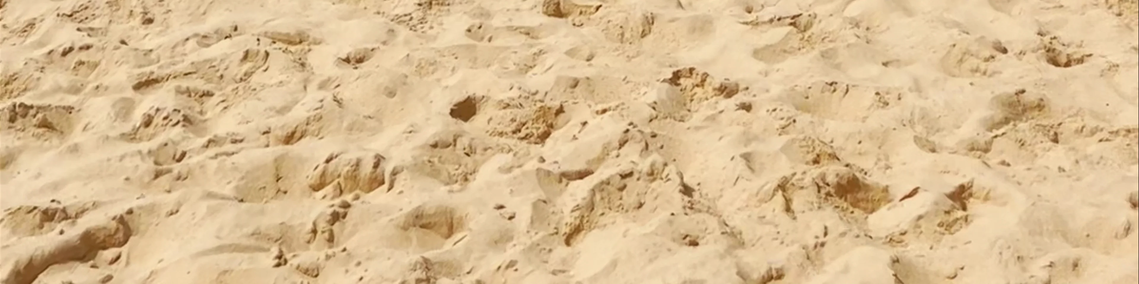 Wamberal Beach