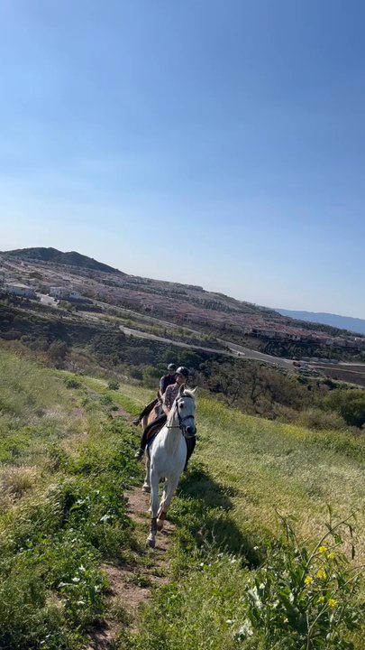 Mountain Meadows Stables - Our new Riding area - Horse Boarding Near Me - Chatsworth, California