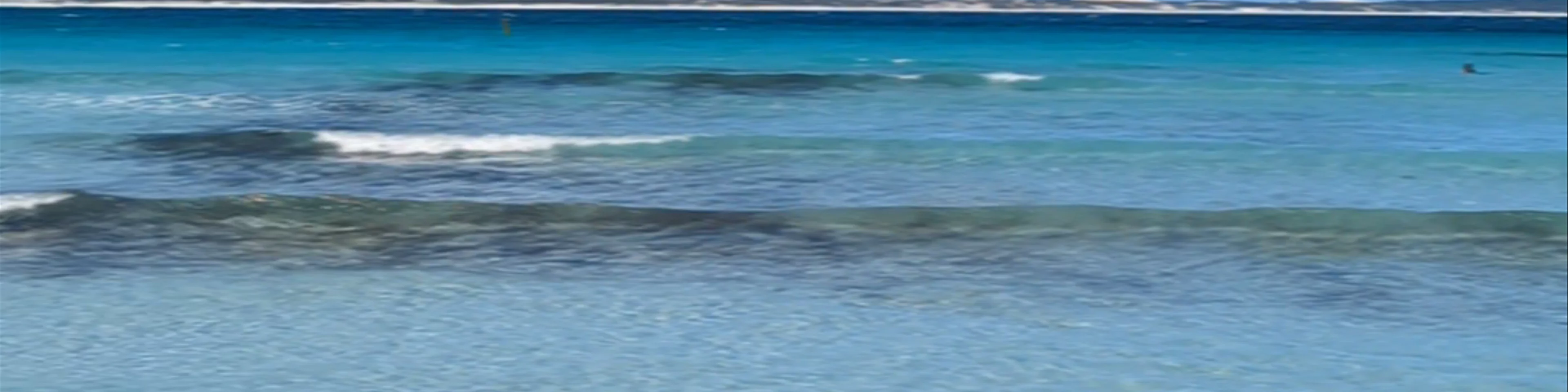 John Cove Beach