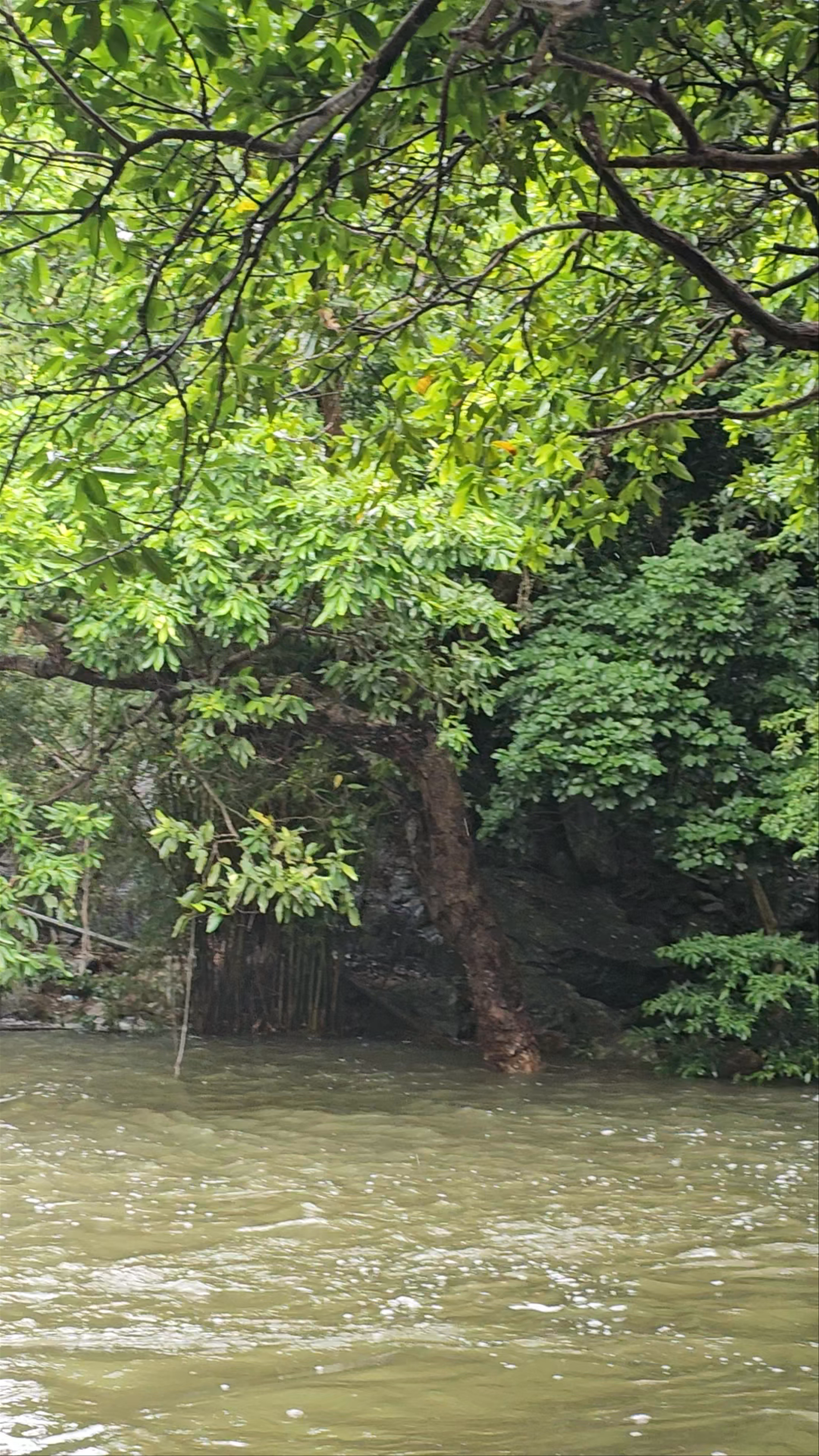 Man Cheung Po's Infinity Pool: Serenity Amidst Lush Nature in Tai O, Hong Kong