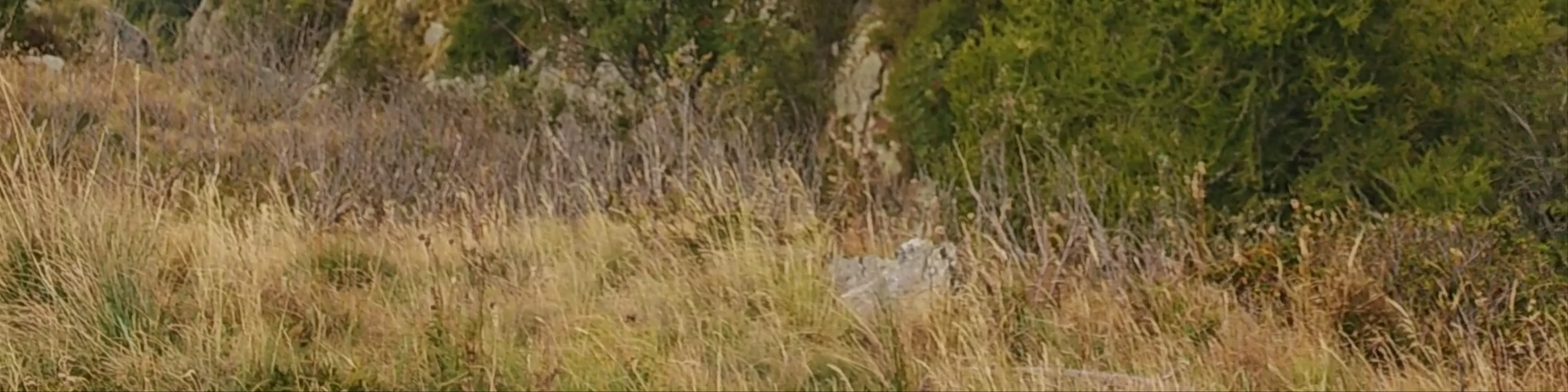 Monte Legnoncino
