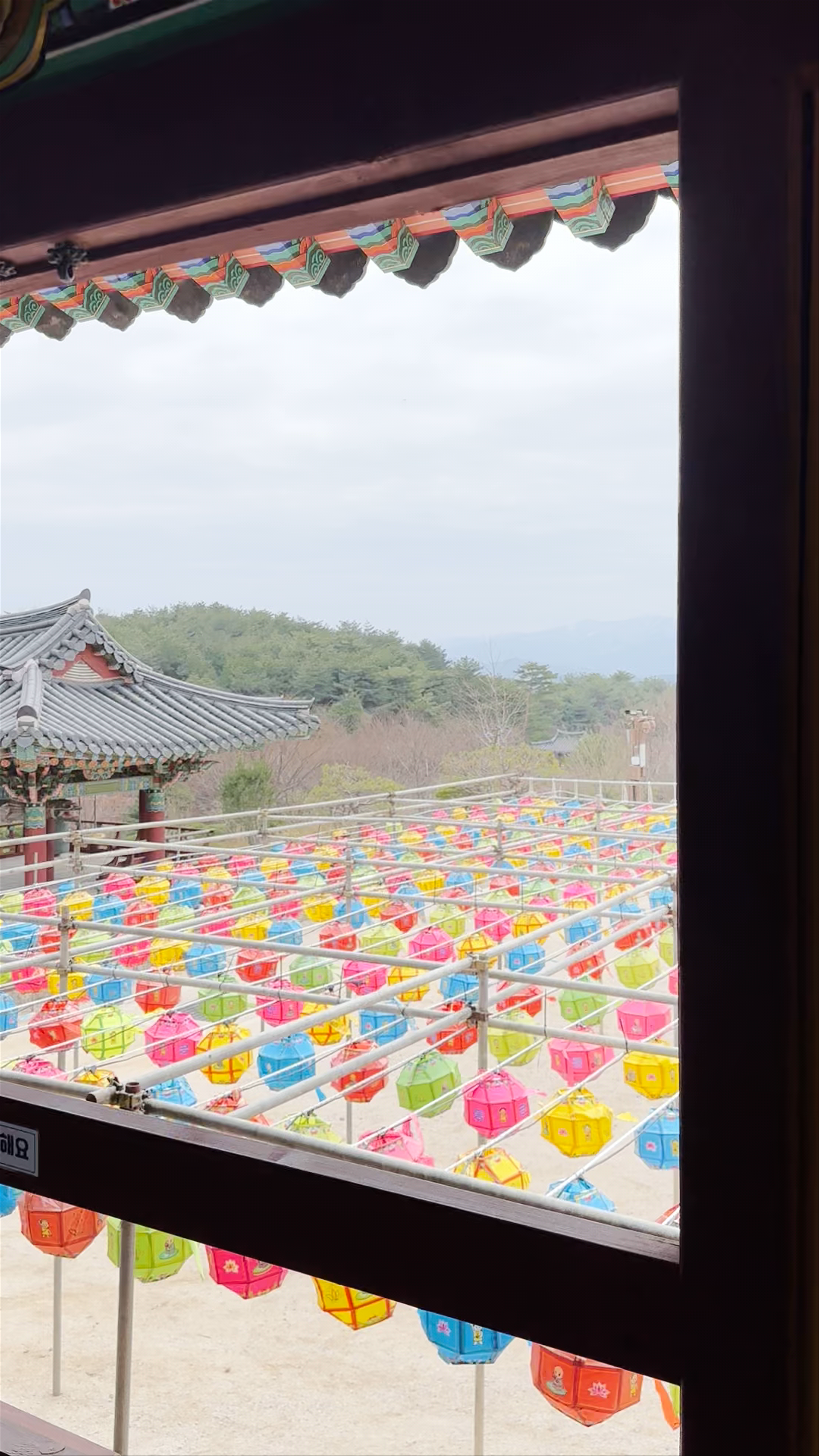 Sinheungsa Temple Stay 신흥사 속초 템플스테이